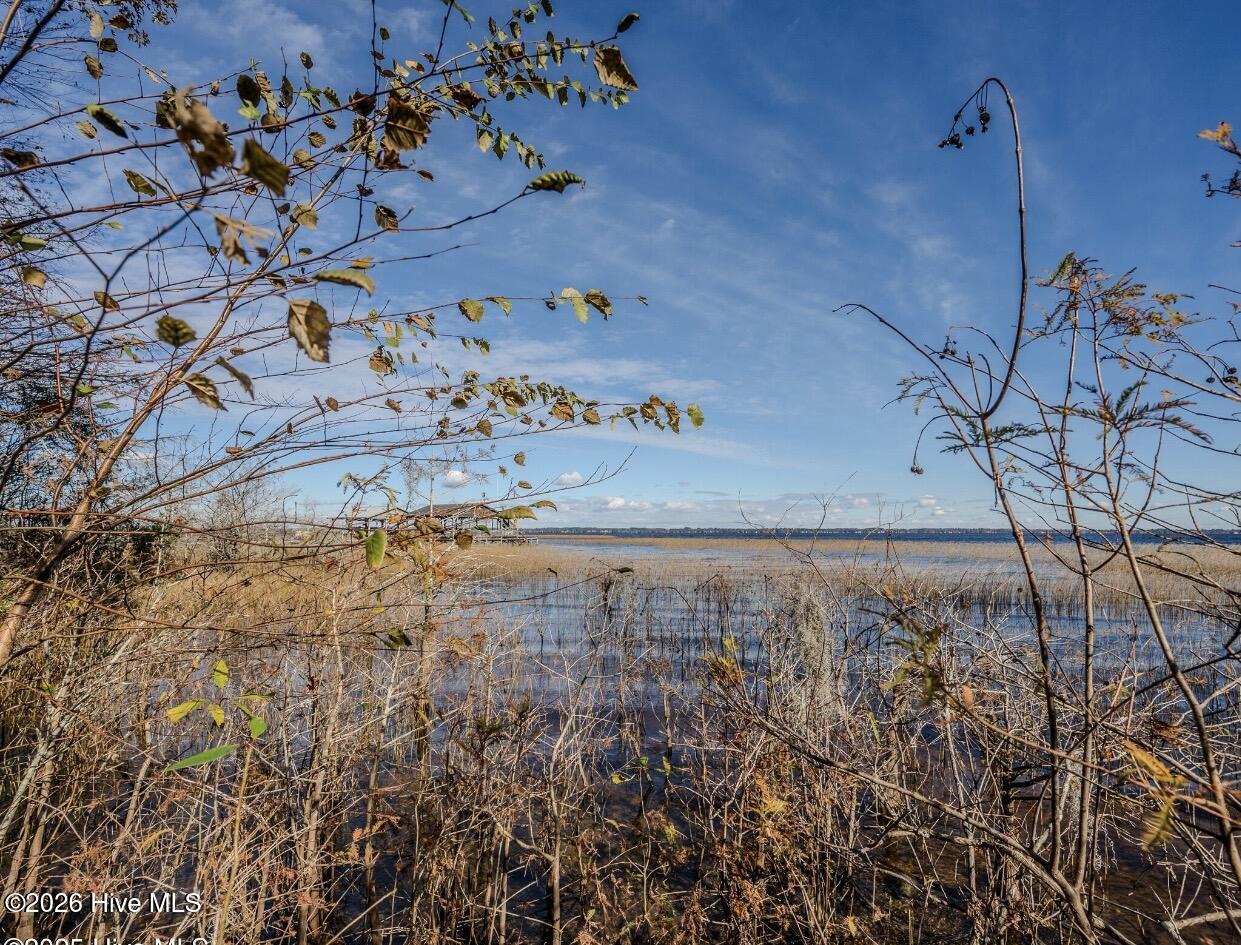 100560316 | Photo 11