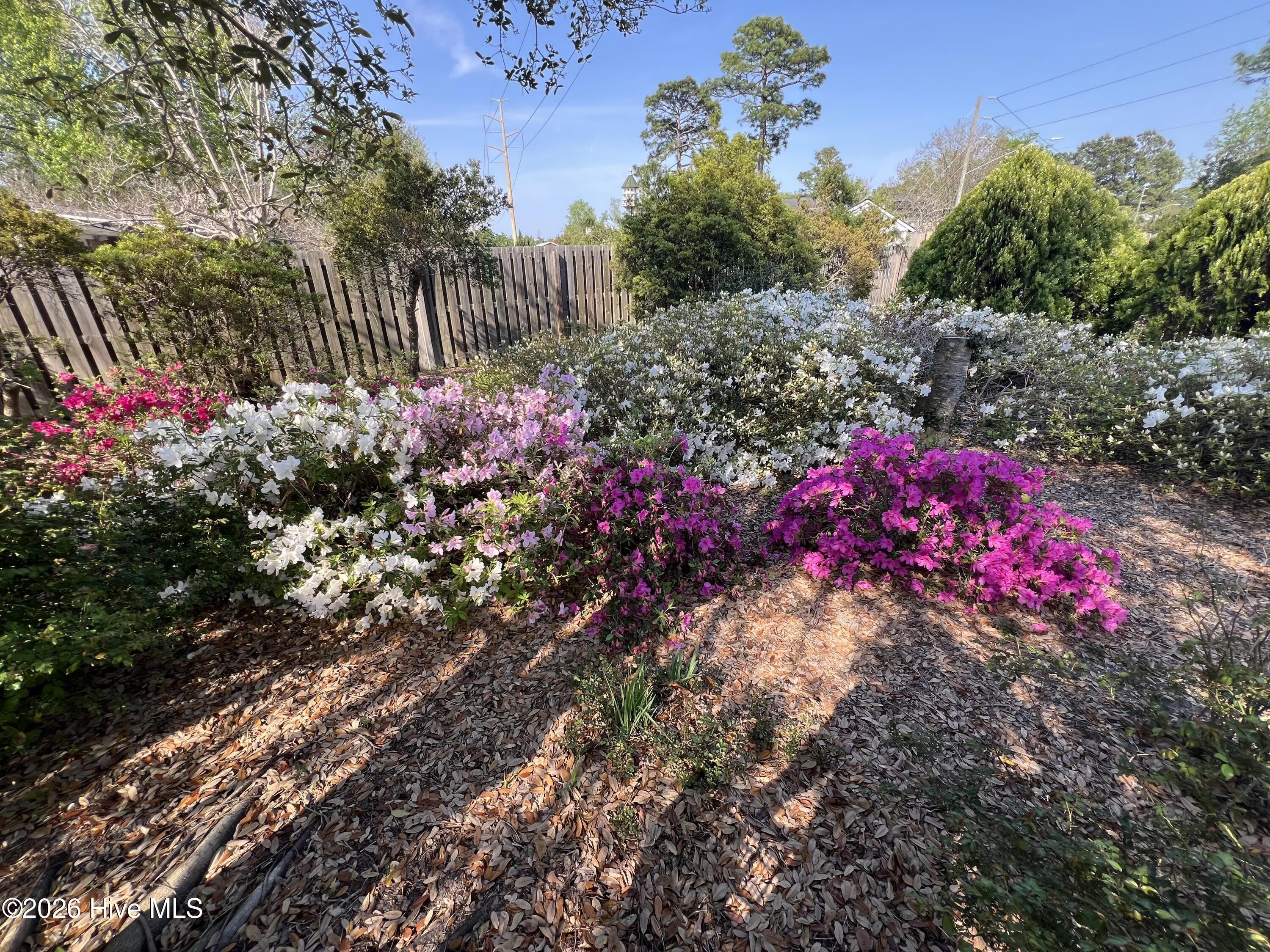 100556921 | Photo 52