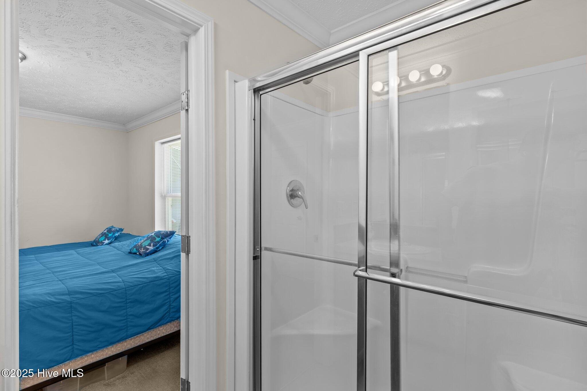 100509442 | Photo 26