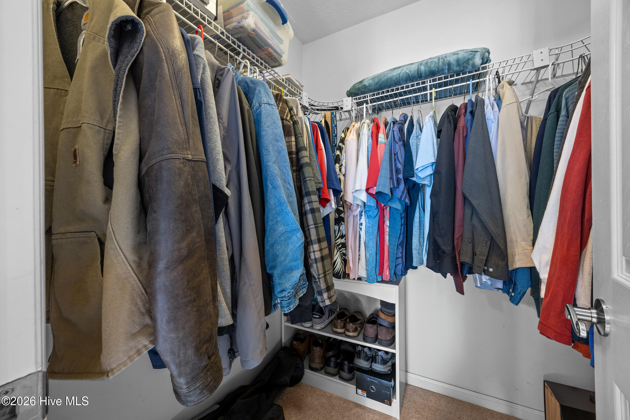 100560402 | Photo 21