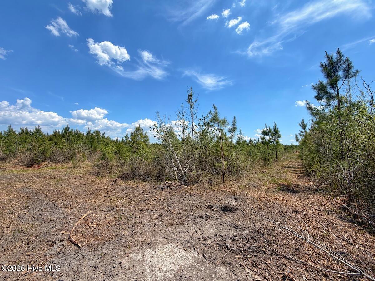 0 Guinea Mill Road, Ernul, NC, 28527