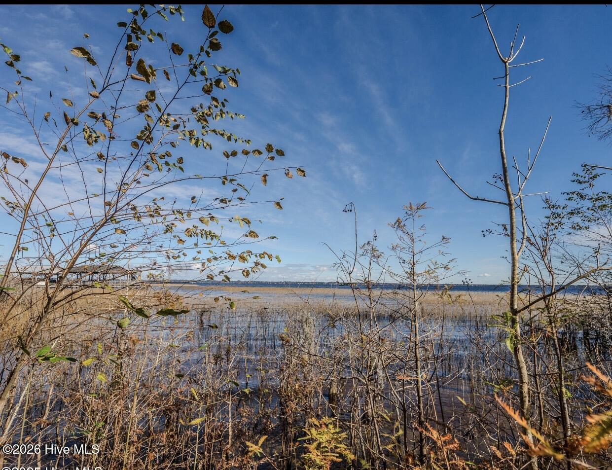 100560316 | Photo 13