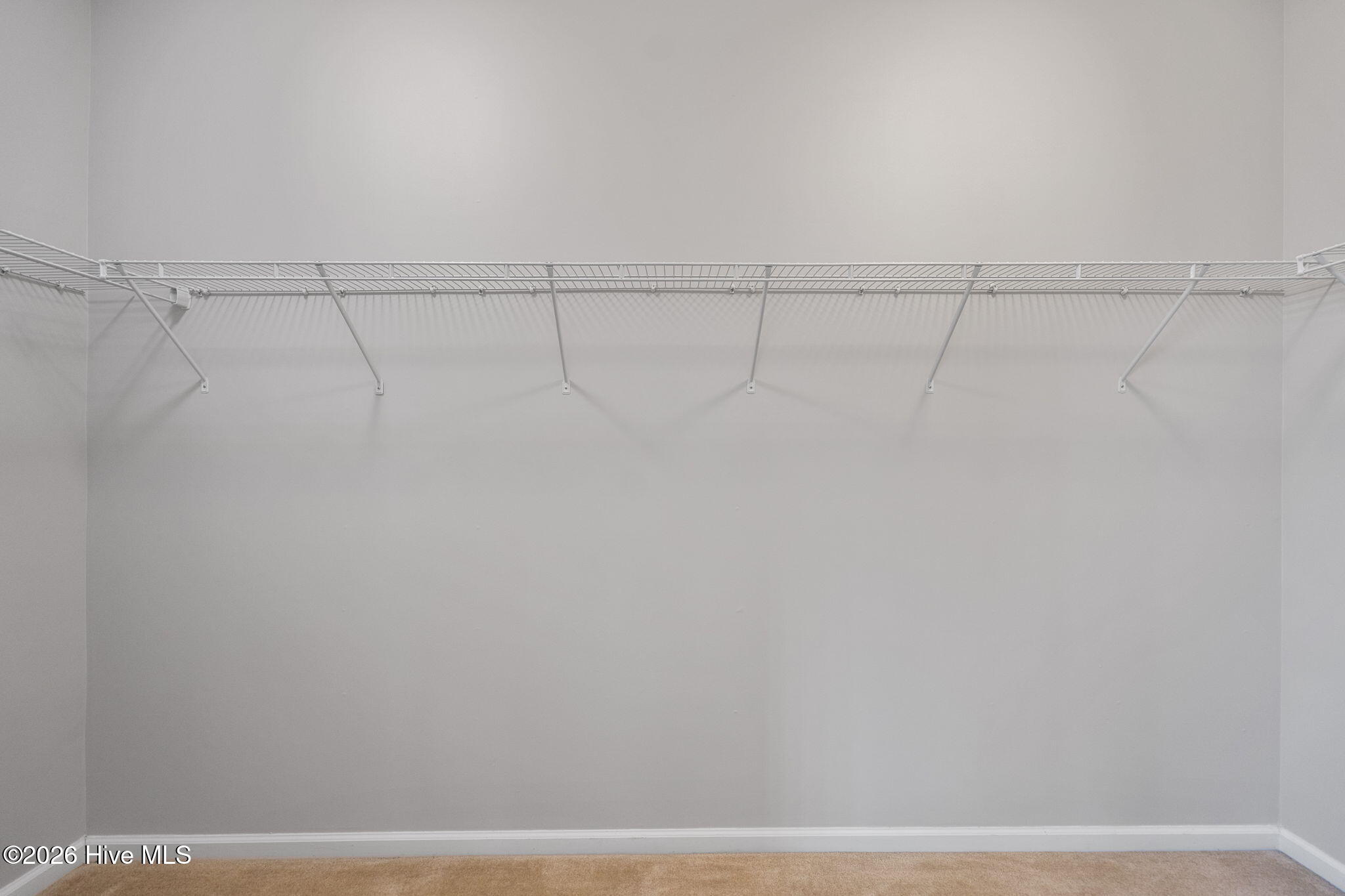 100554363 | Photo 38