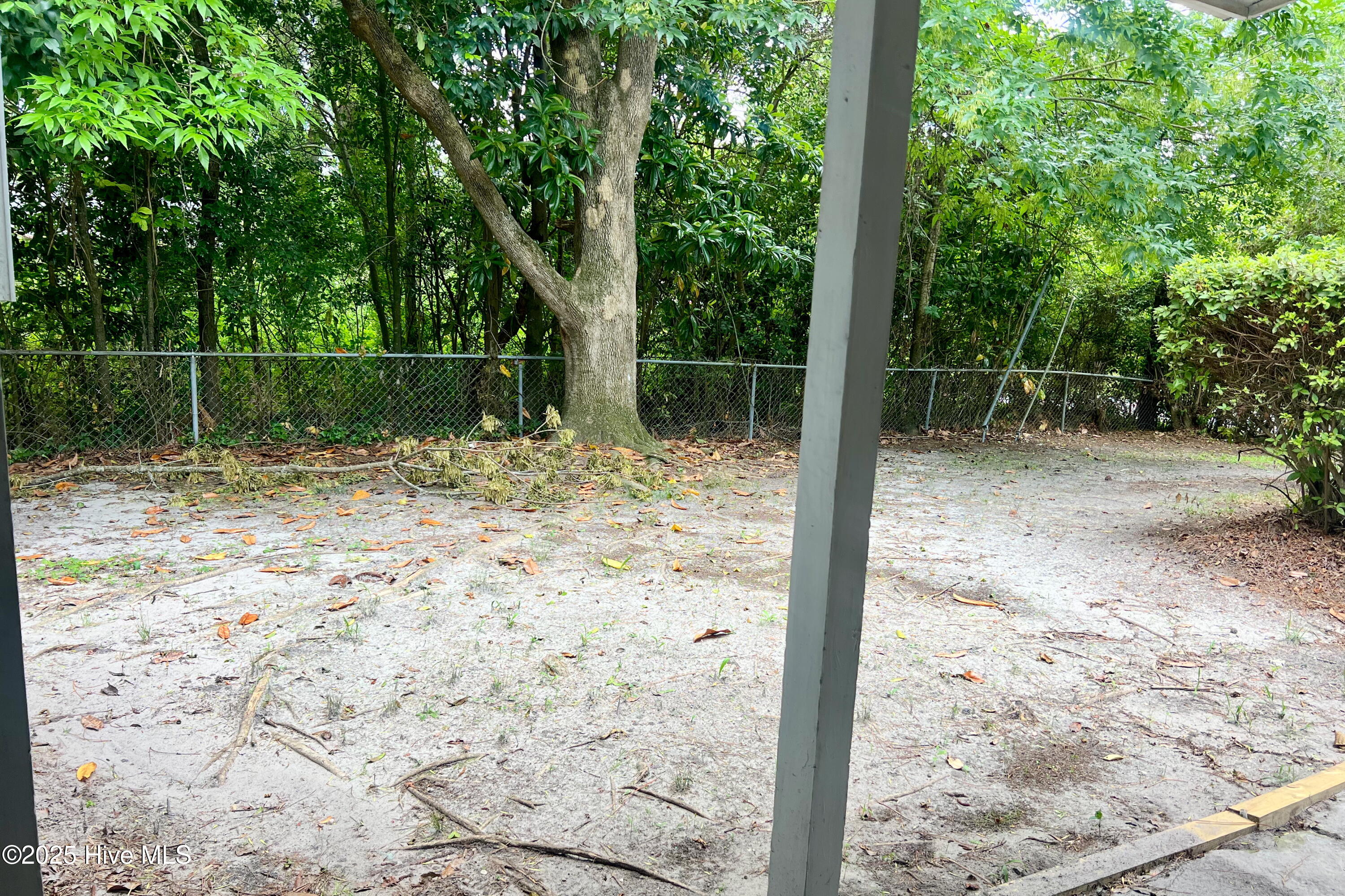 100536108 | Photo 19