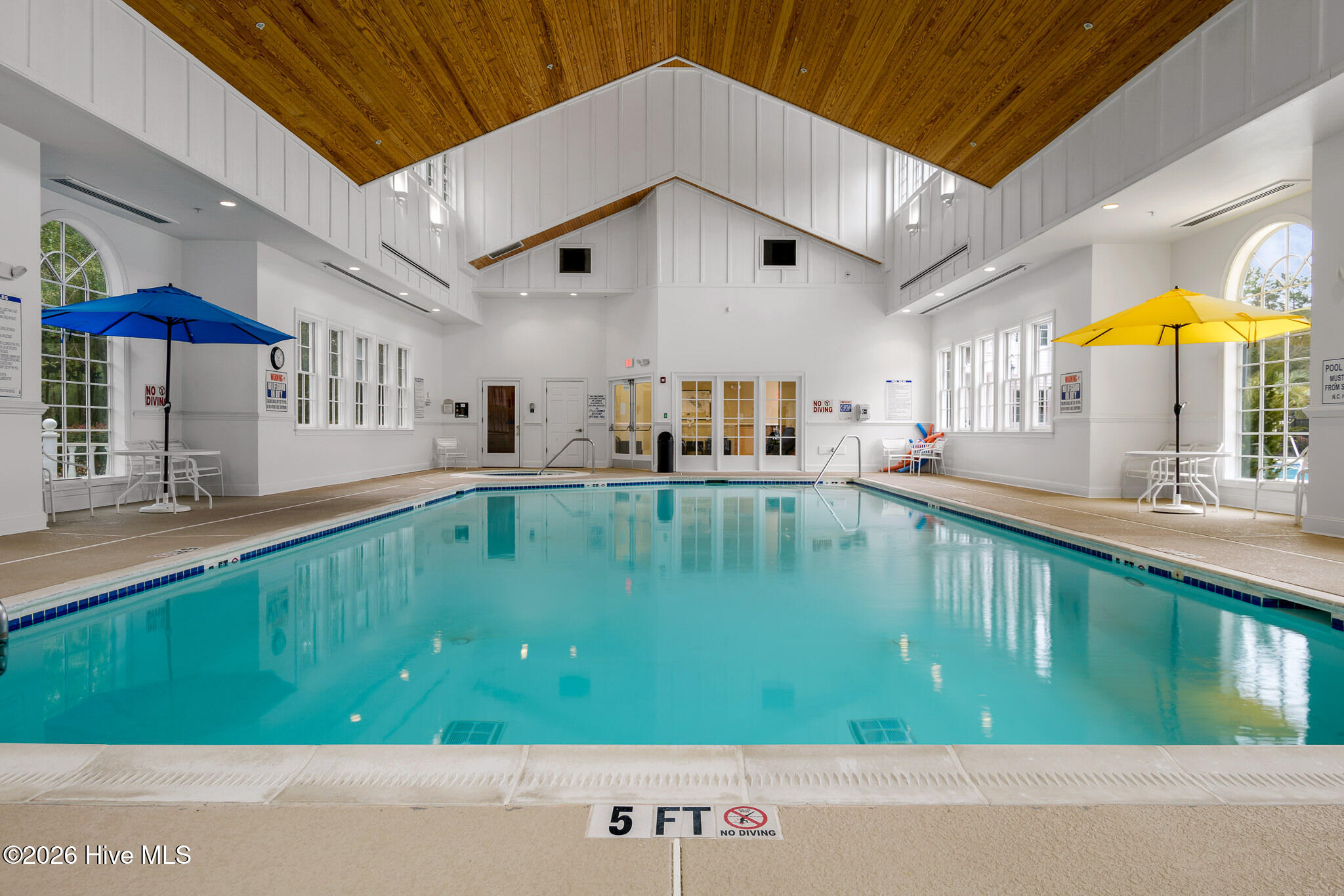 100559457 | Photo 38