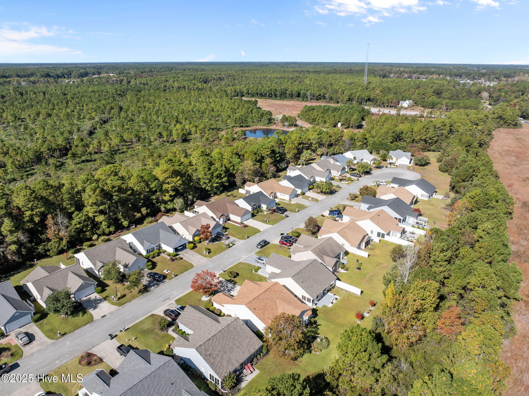 100540137 | Photo 45