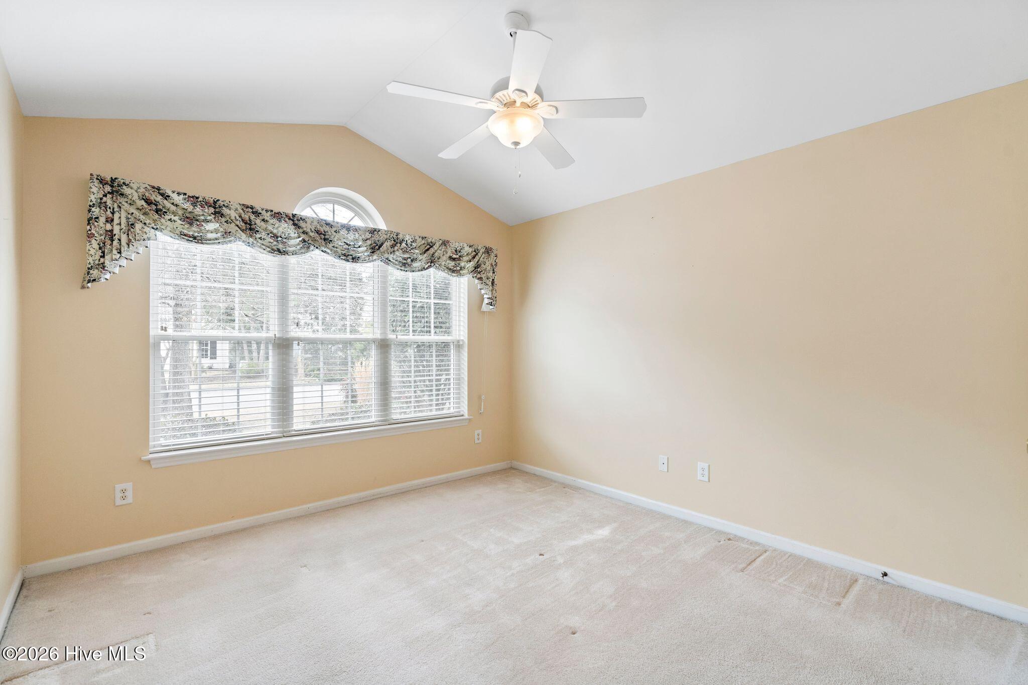 100558040 | Photo 34