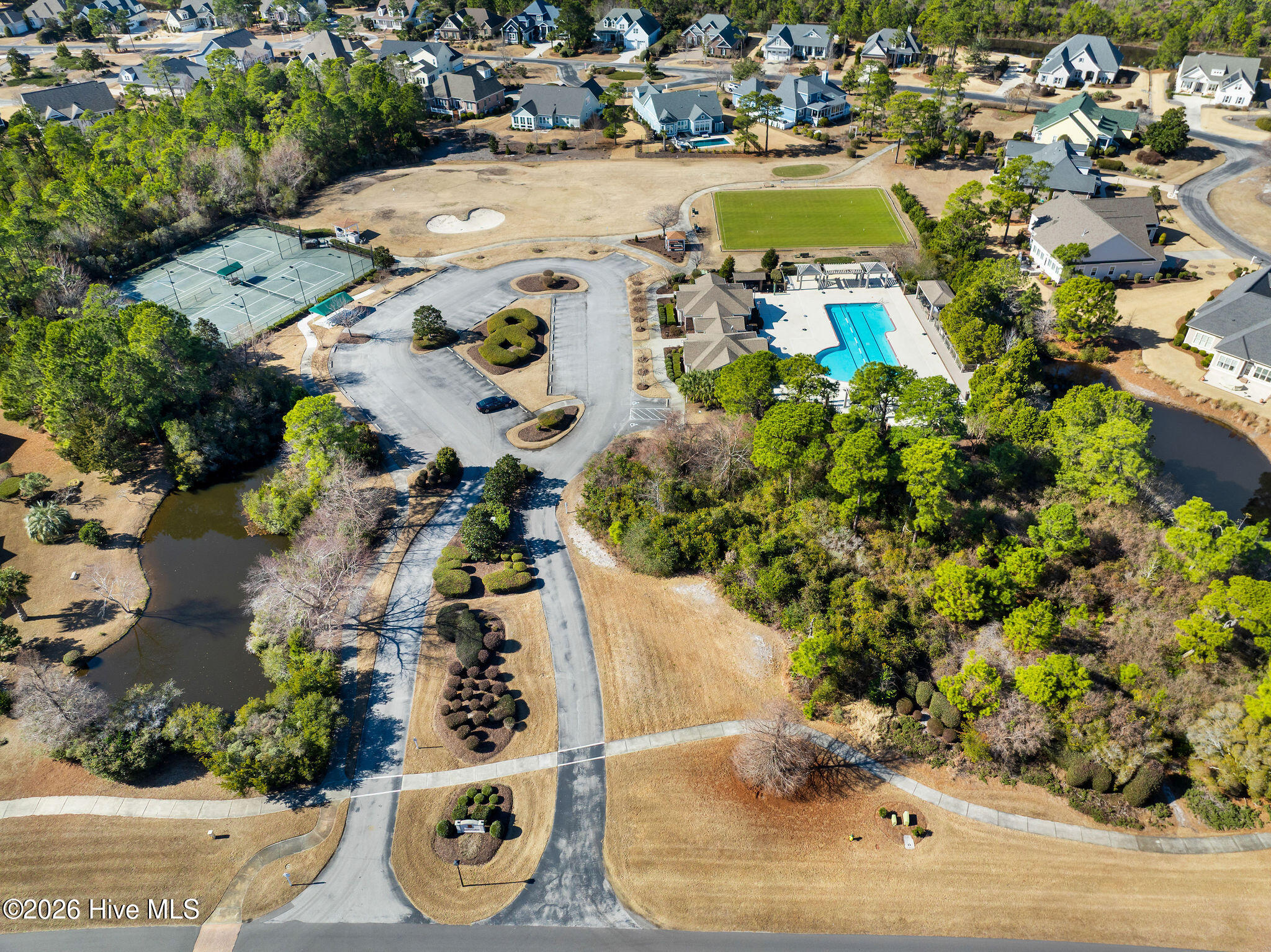 100564801 | Photo 54