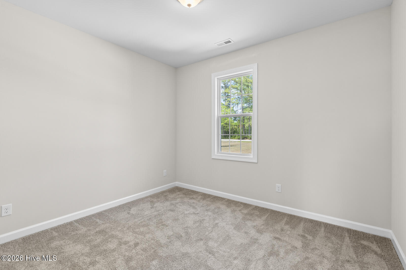 100553181 | Photo 24