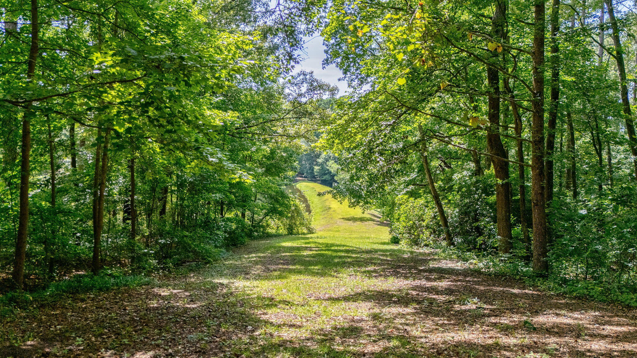 LOT 7 WOODSPRING Court, North Augusta, SC, 29860