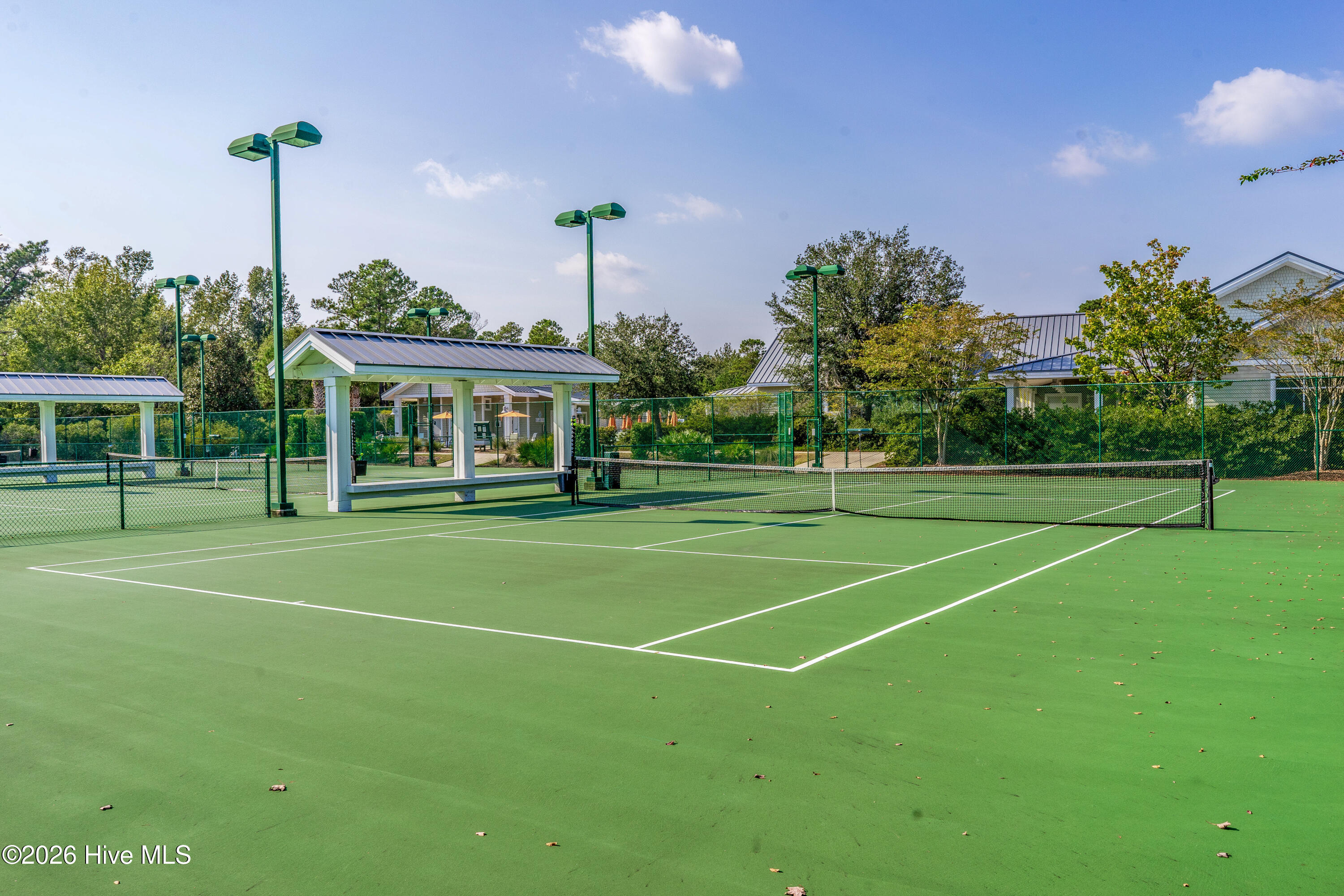 100558174 | Photo 78