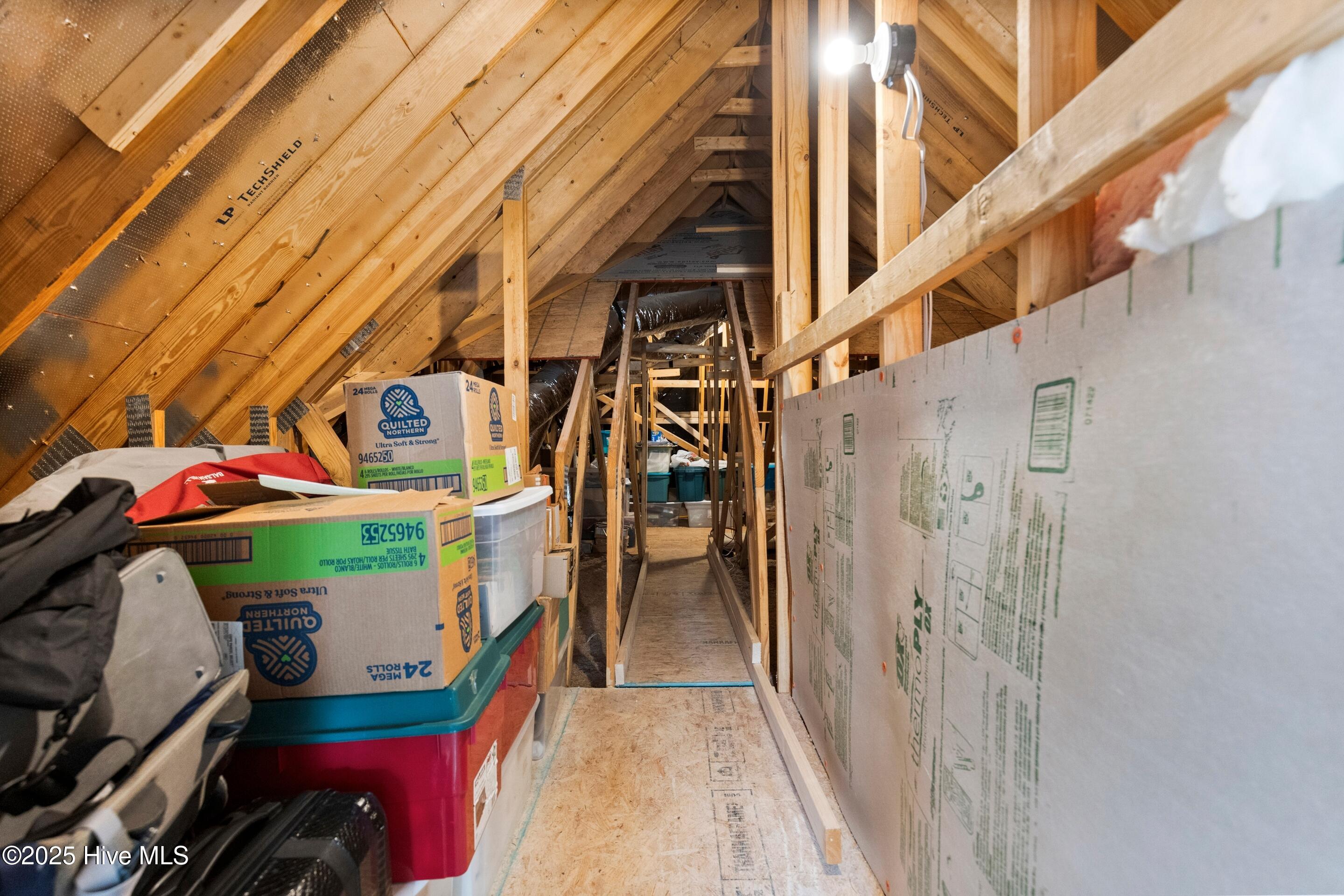 100558361 | Photo 67