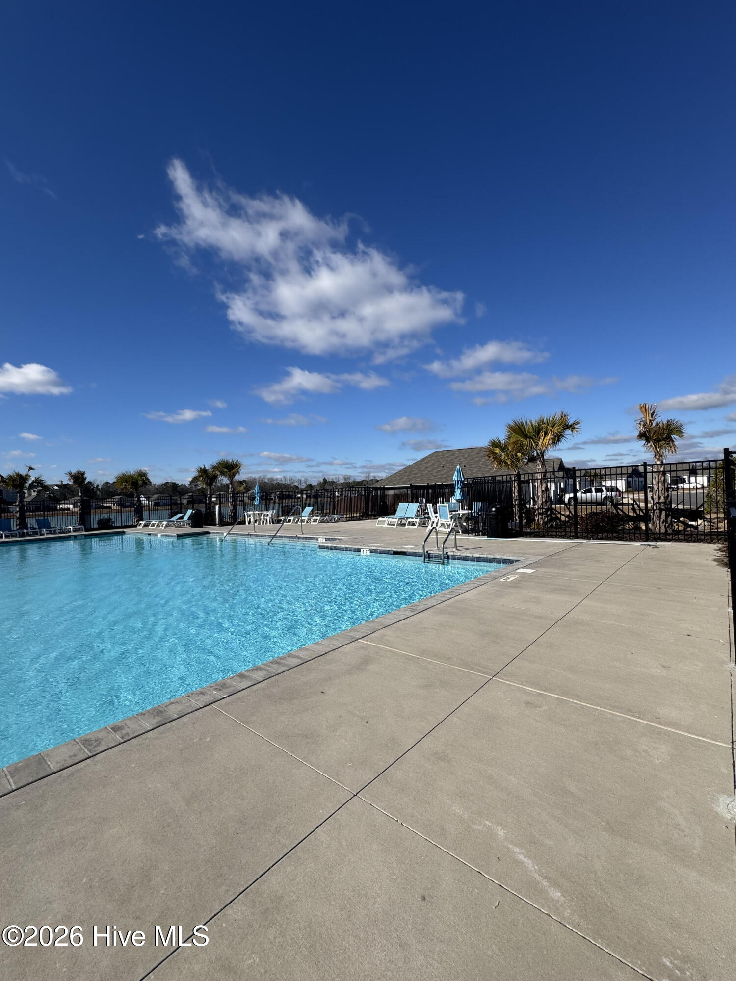 100558914 | Photo 34