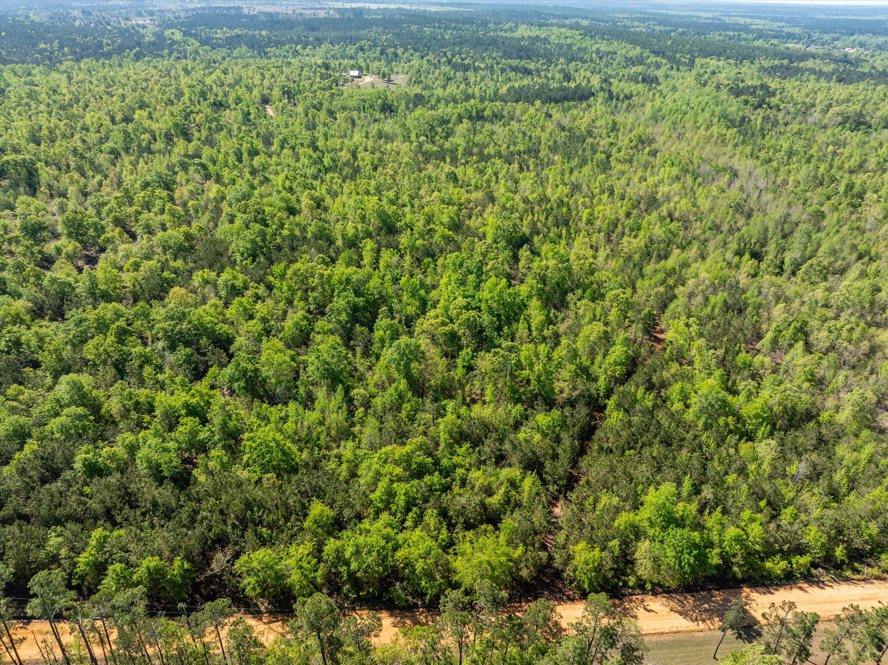 11-DJI_0659-HDR