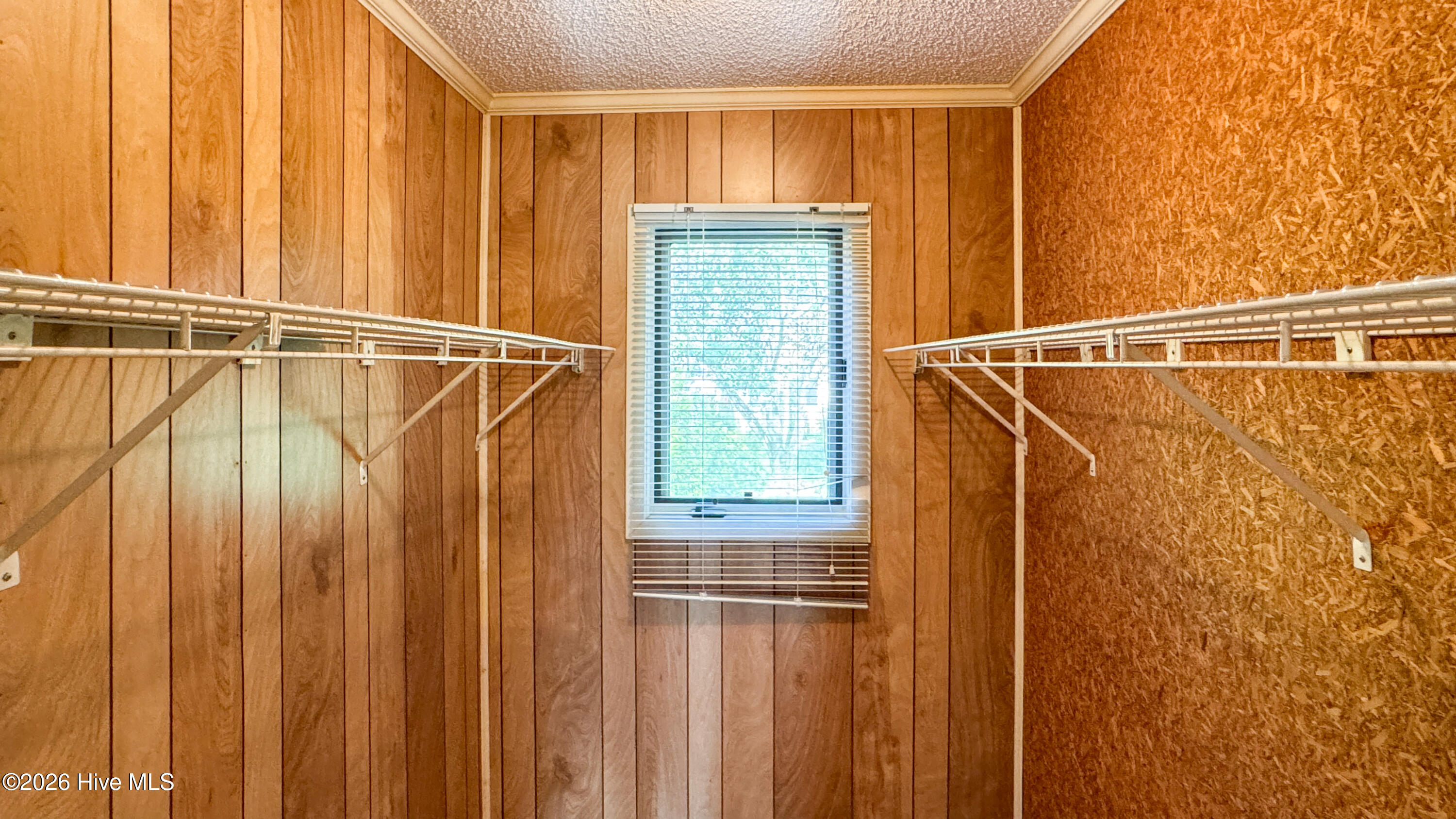 100565099 | Photo 23