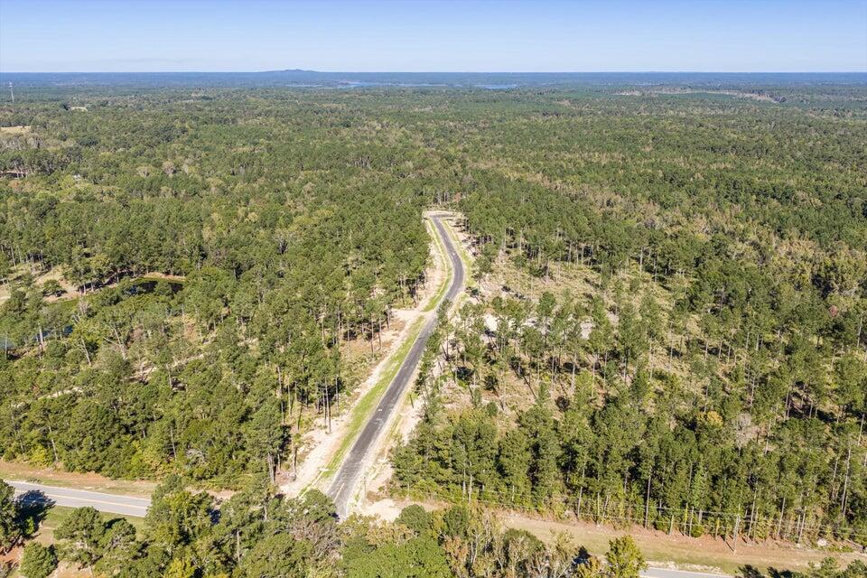 135 Beagle Chase Drive, Appling, GA, 30802