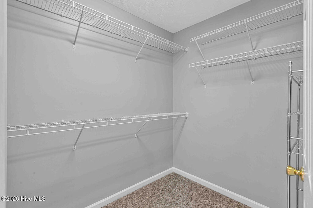 100557733 | Photo 39