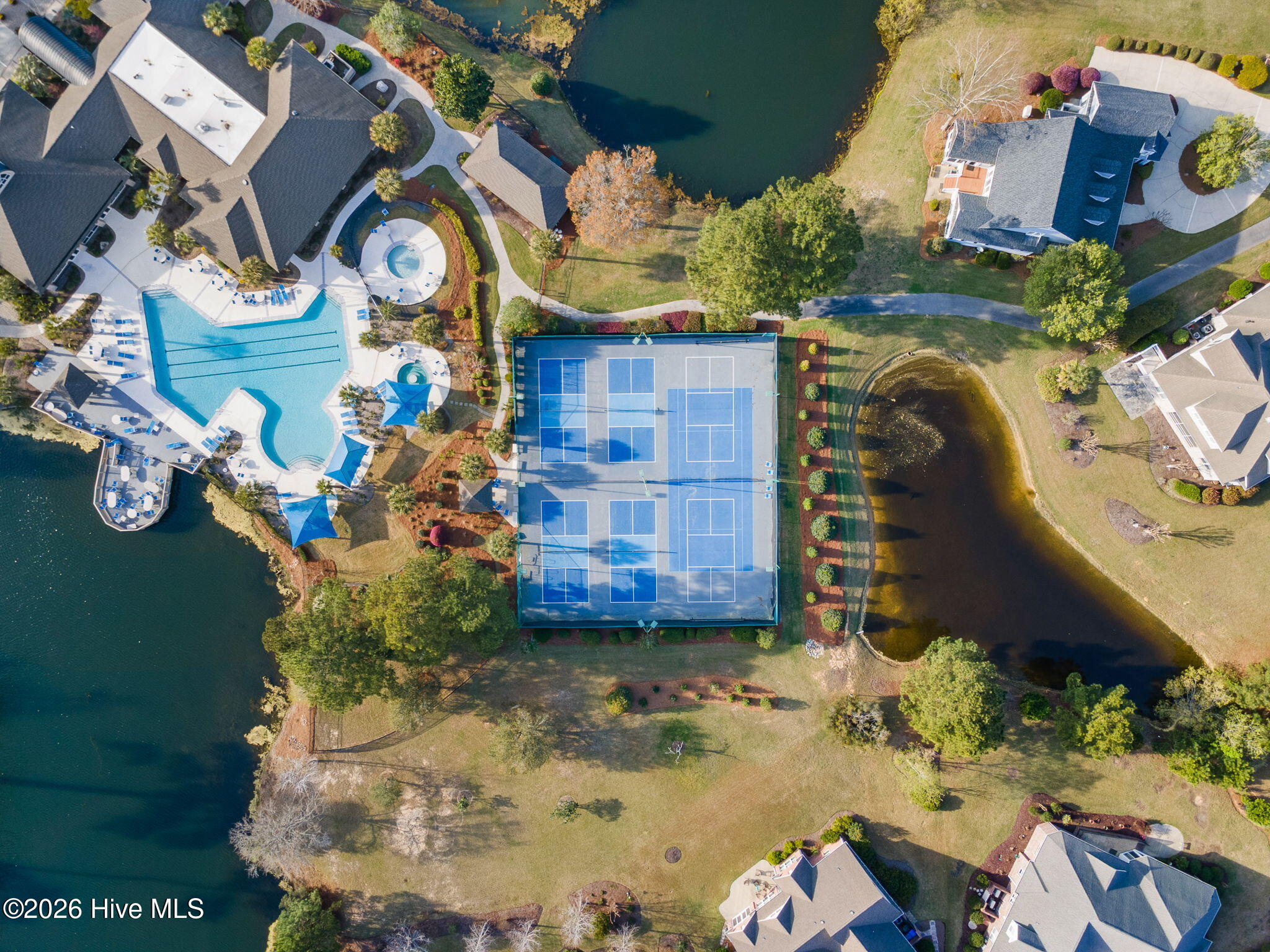 100563065 | Photo 17