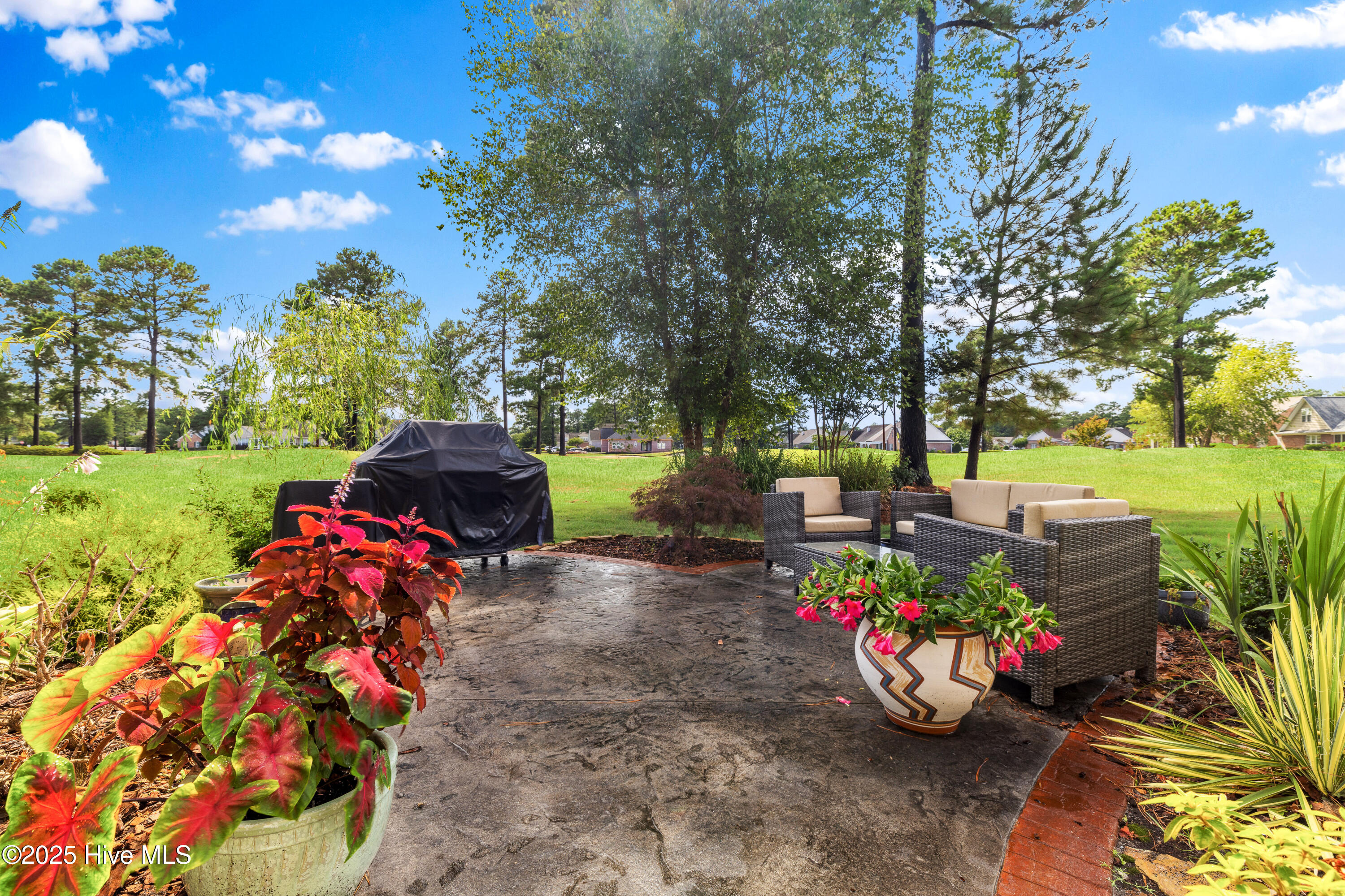 100514630 | Photo 55