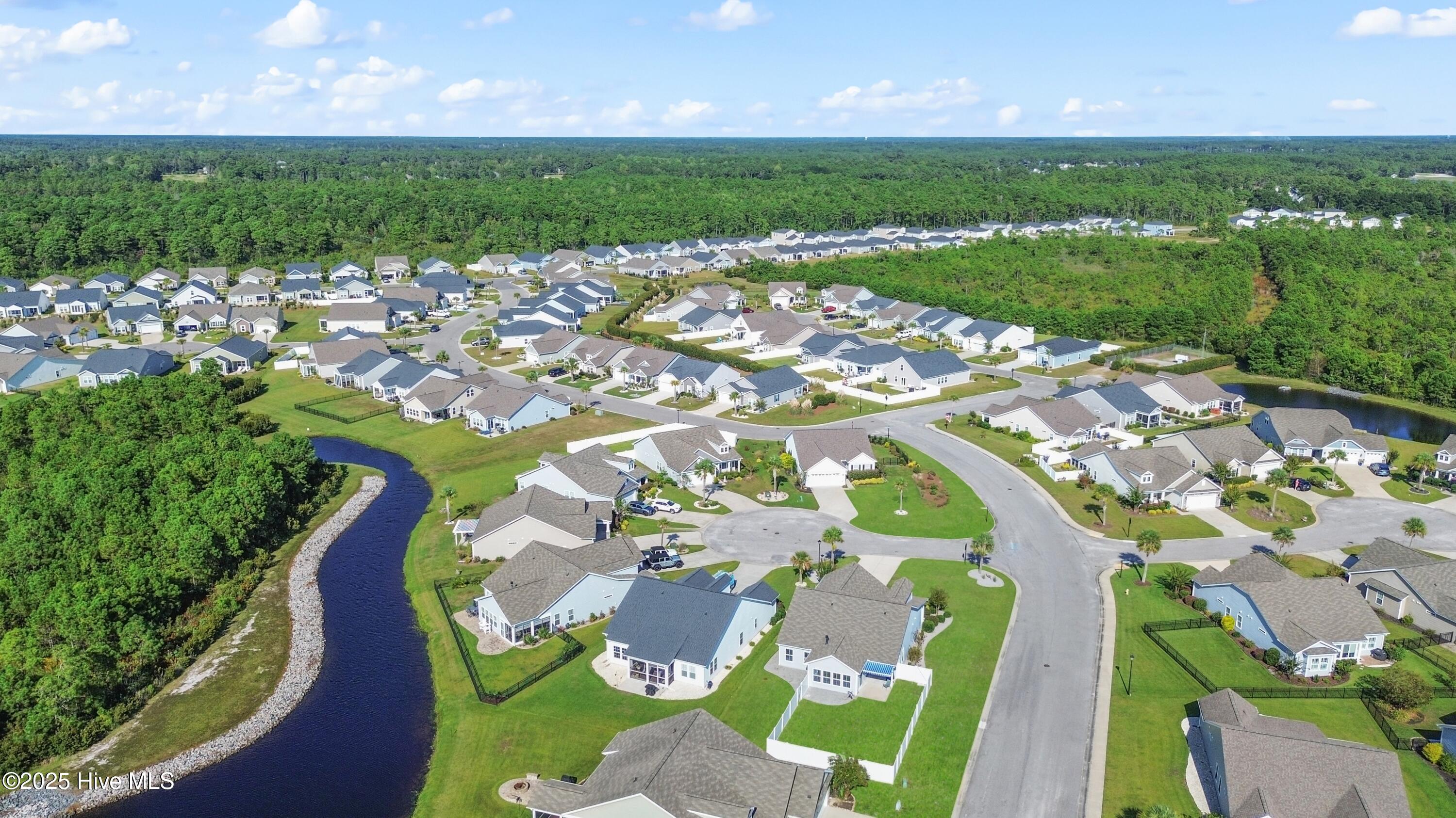 100535031 | Photo 42