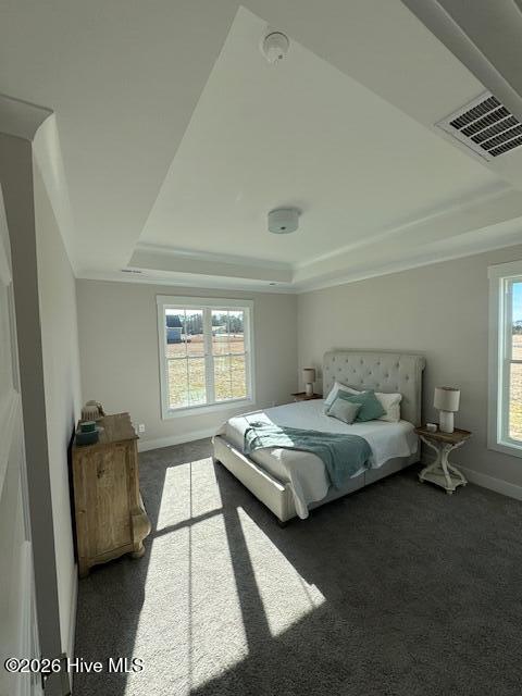 100520395 | Photo 20