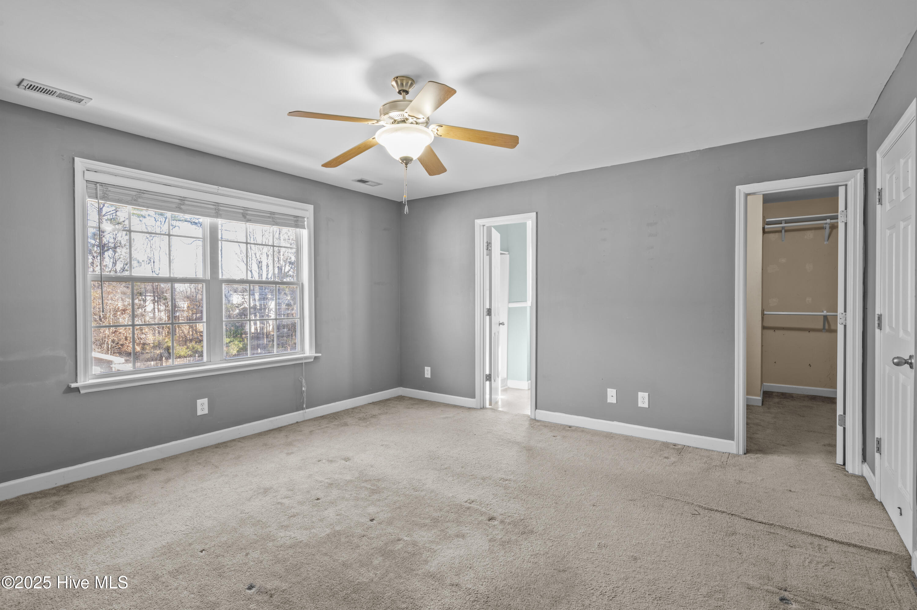 100546481 | Photo 20