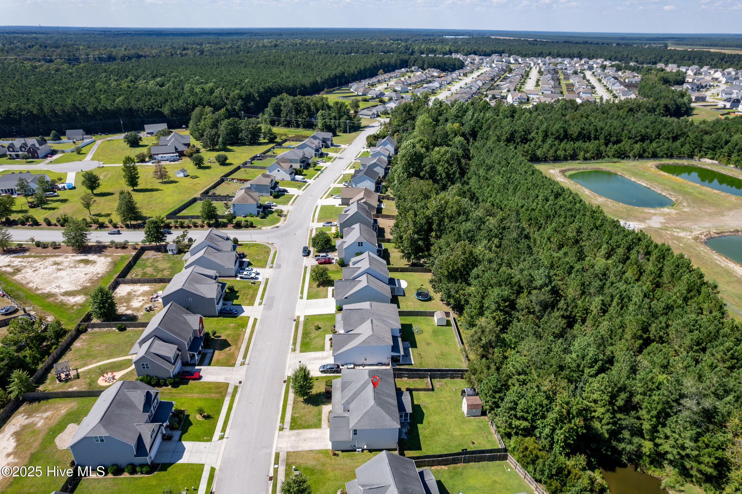 100534668 | Photo 44