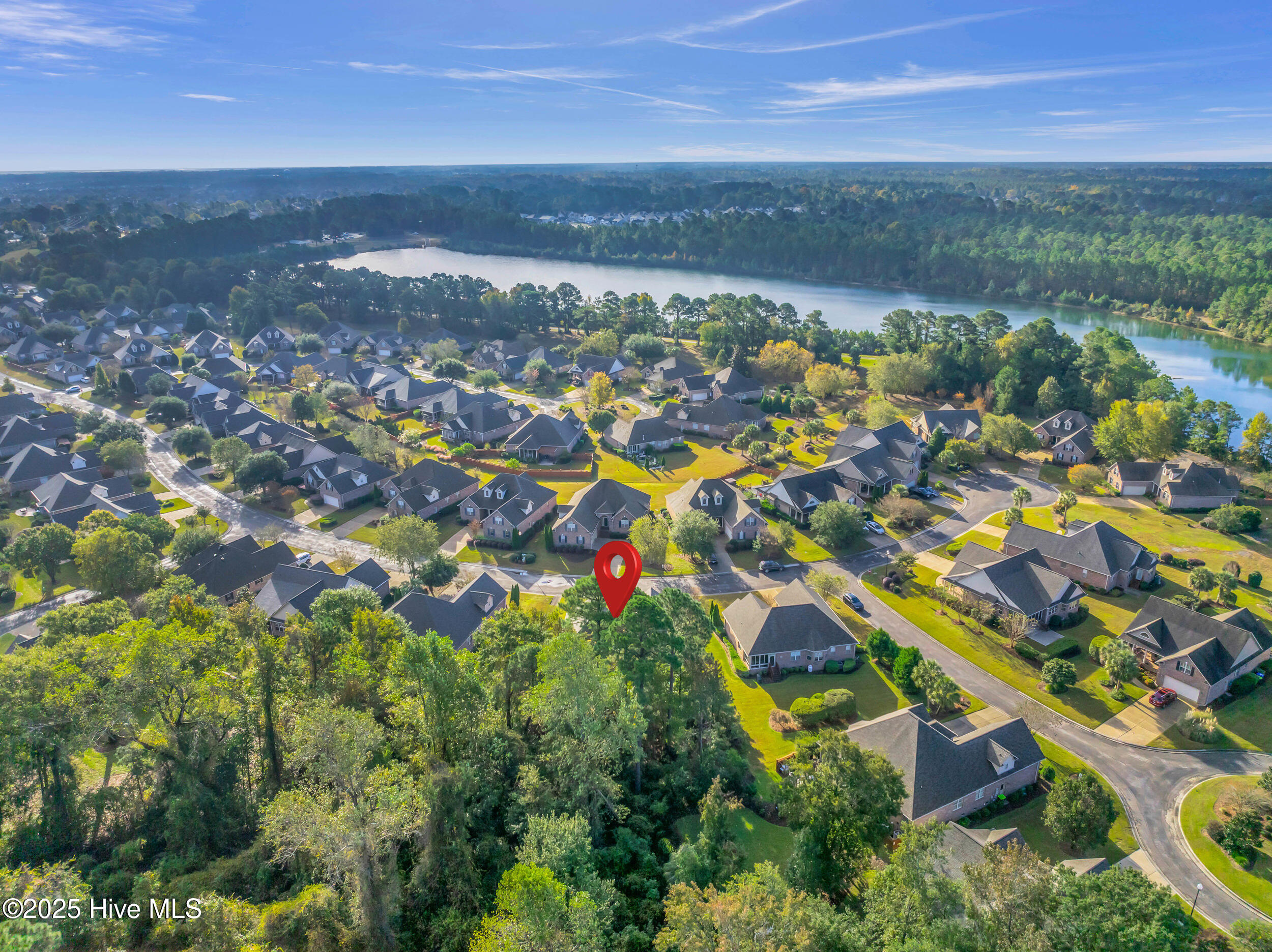 100539518 | Photo 53