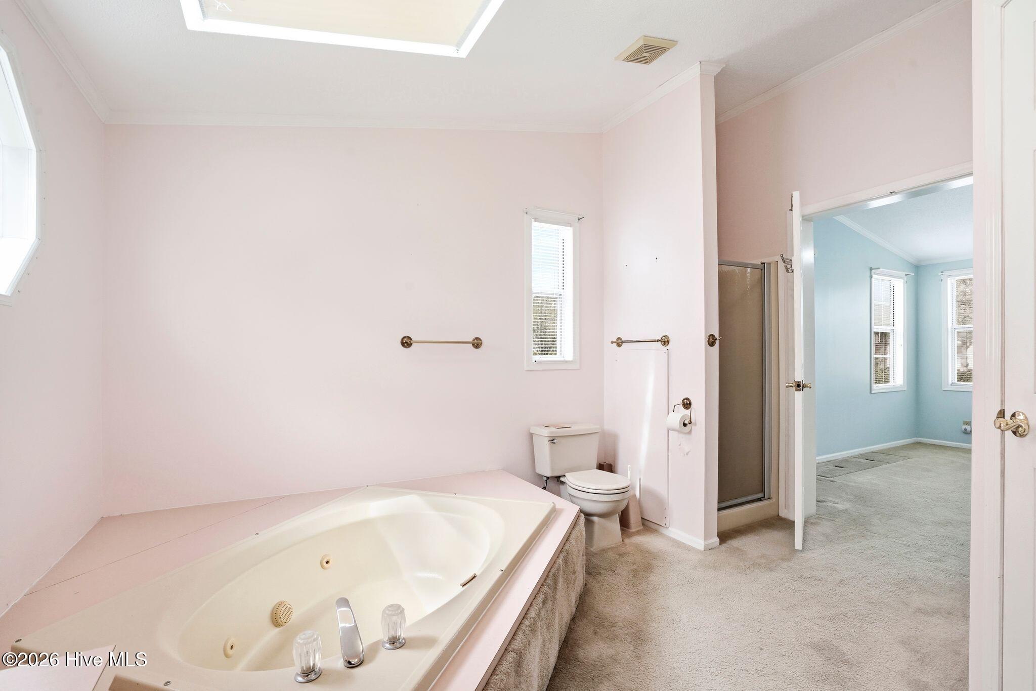 100561756 | Photo 44