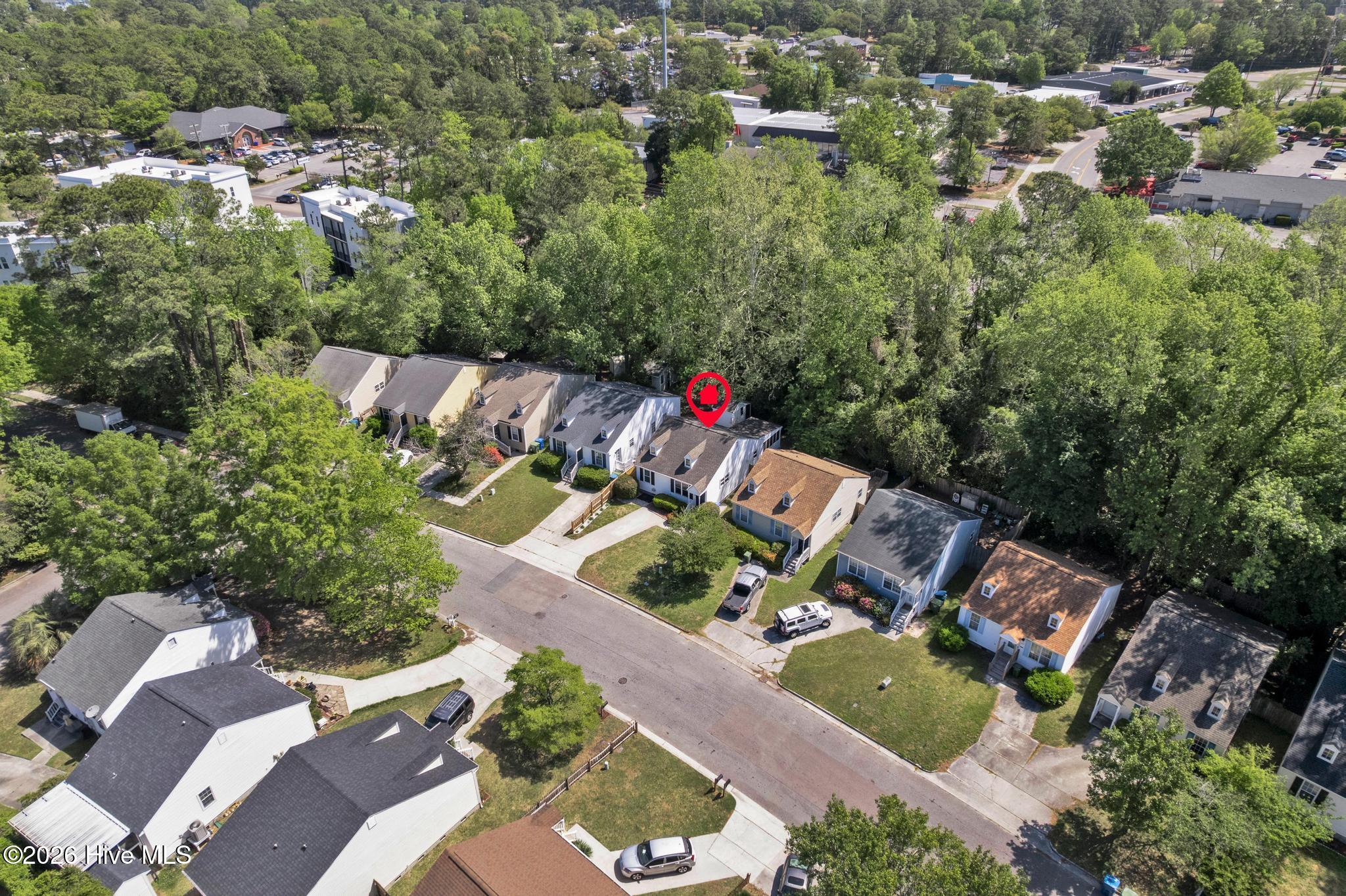 100566412 | Photo 31