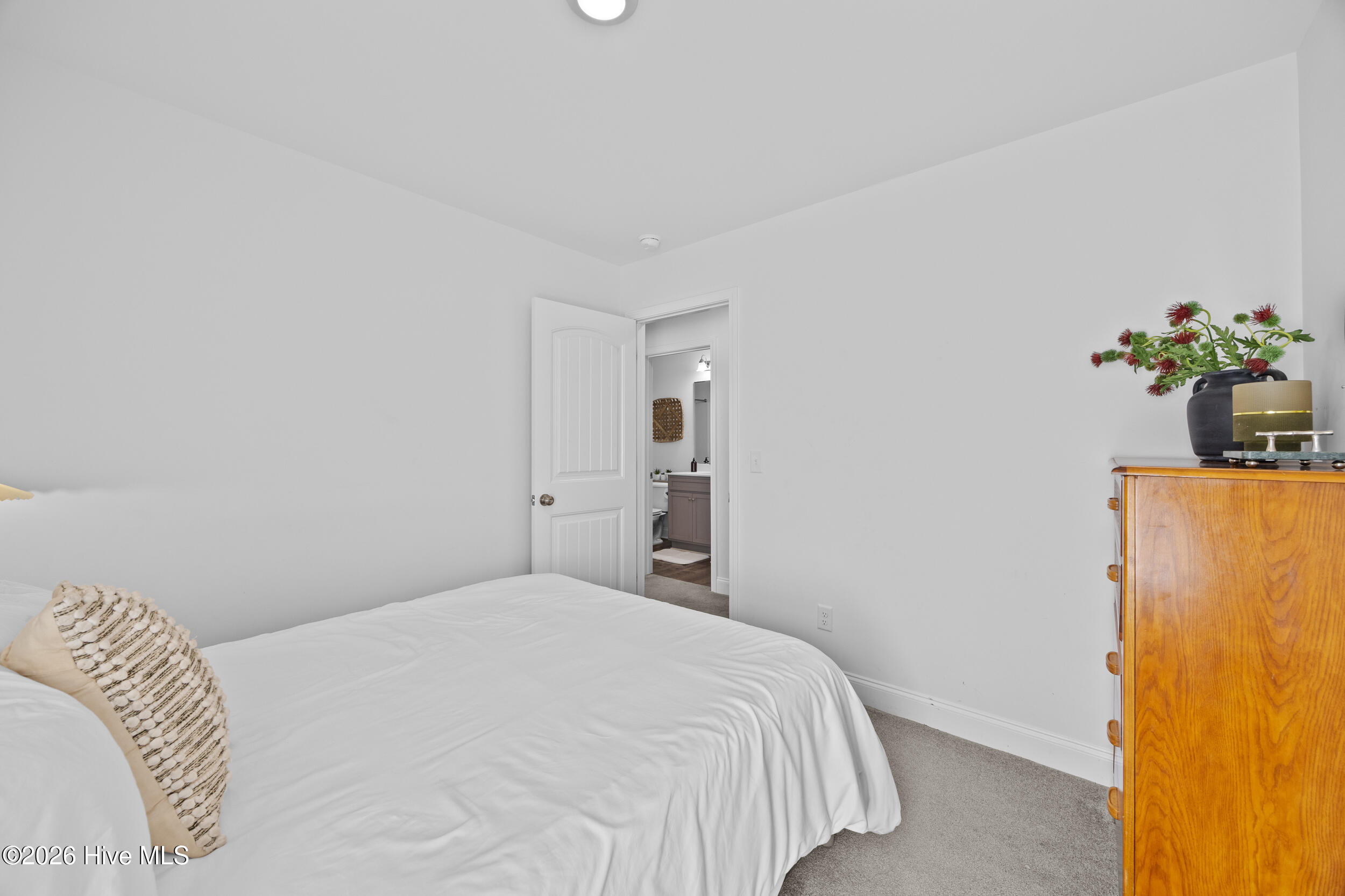 100563466 | Photo 19