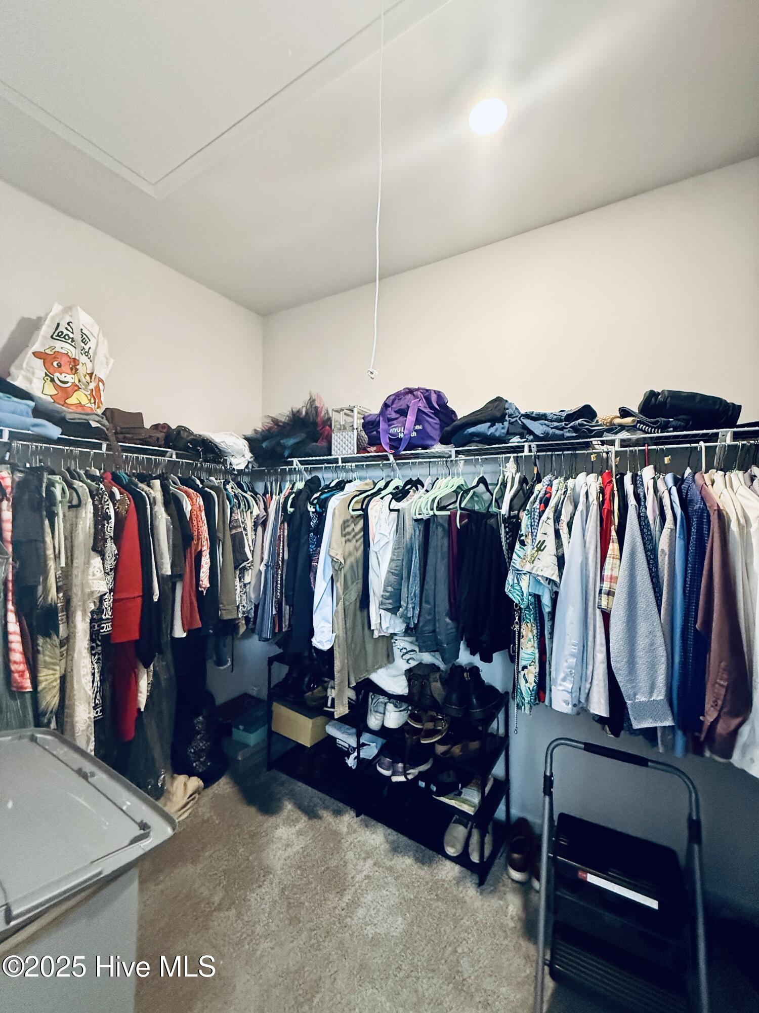 100541949 | Photo 11