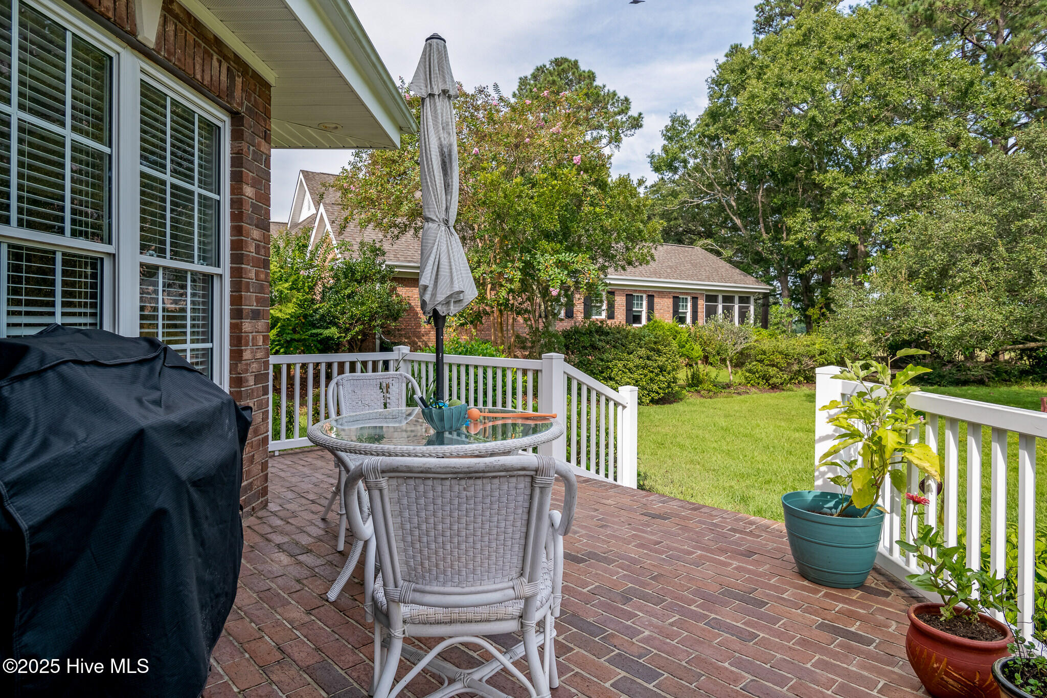 100528098 | Photo 35