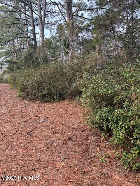 100553362 | Photo 33