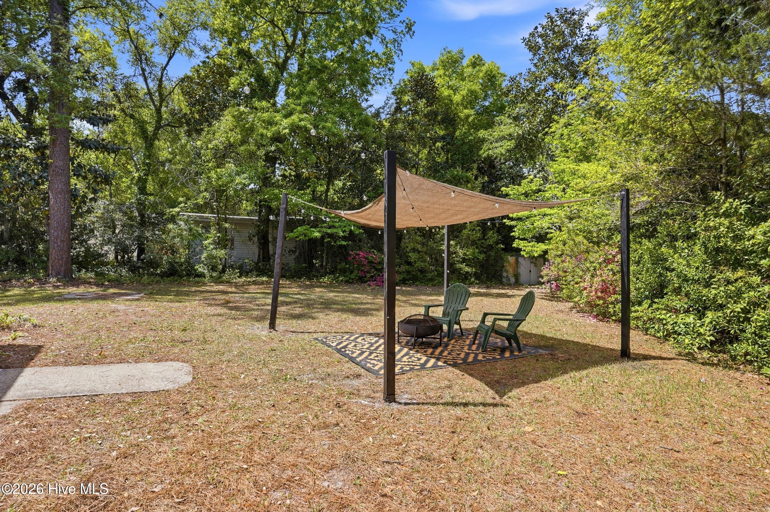 100566091 | Photo 31