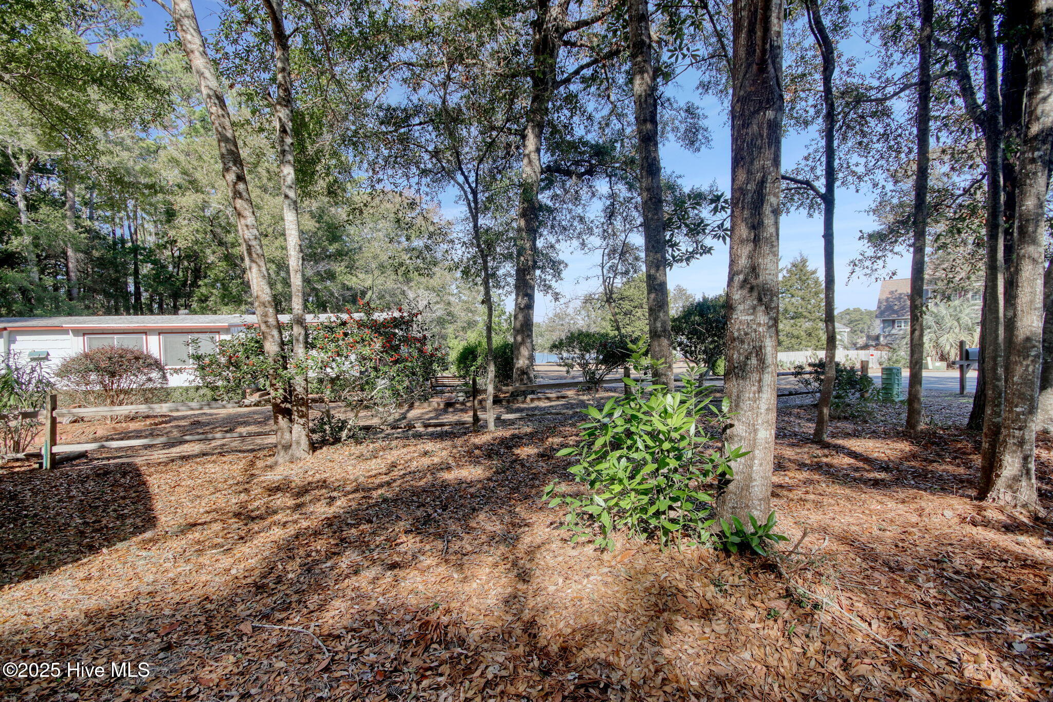 100566005 | Photo 21