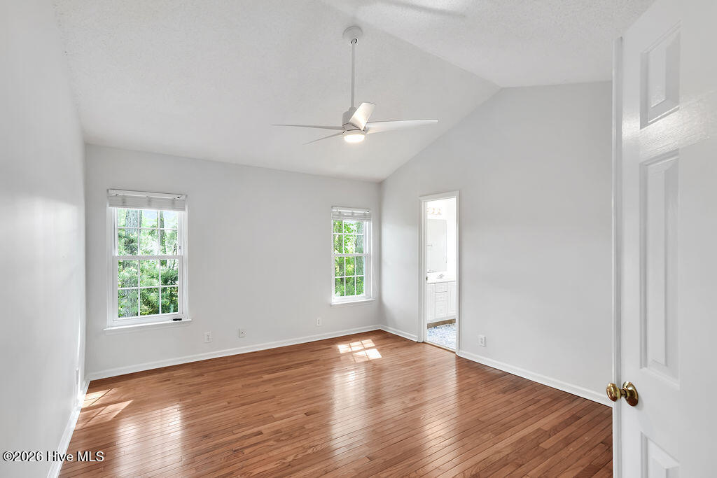 100567084 | Photo 13