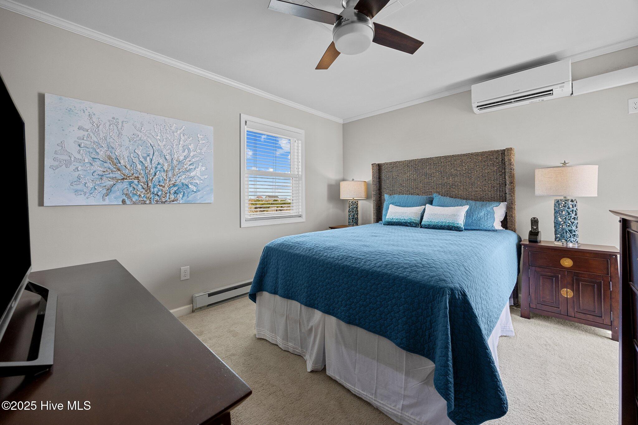 100500223 | Photo 11