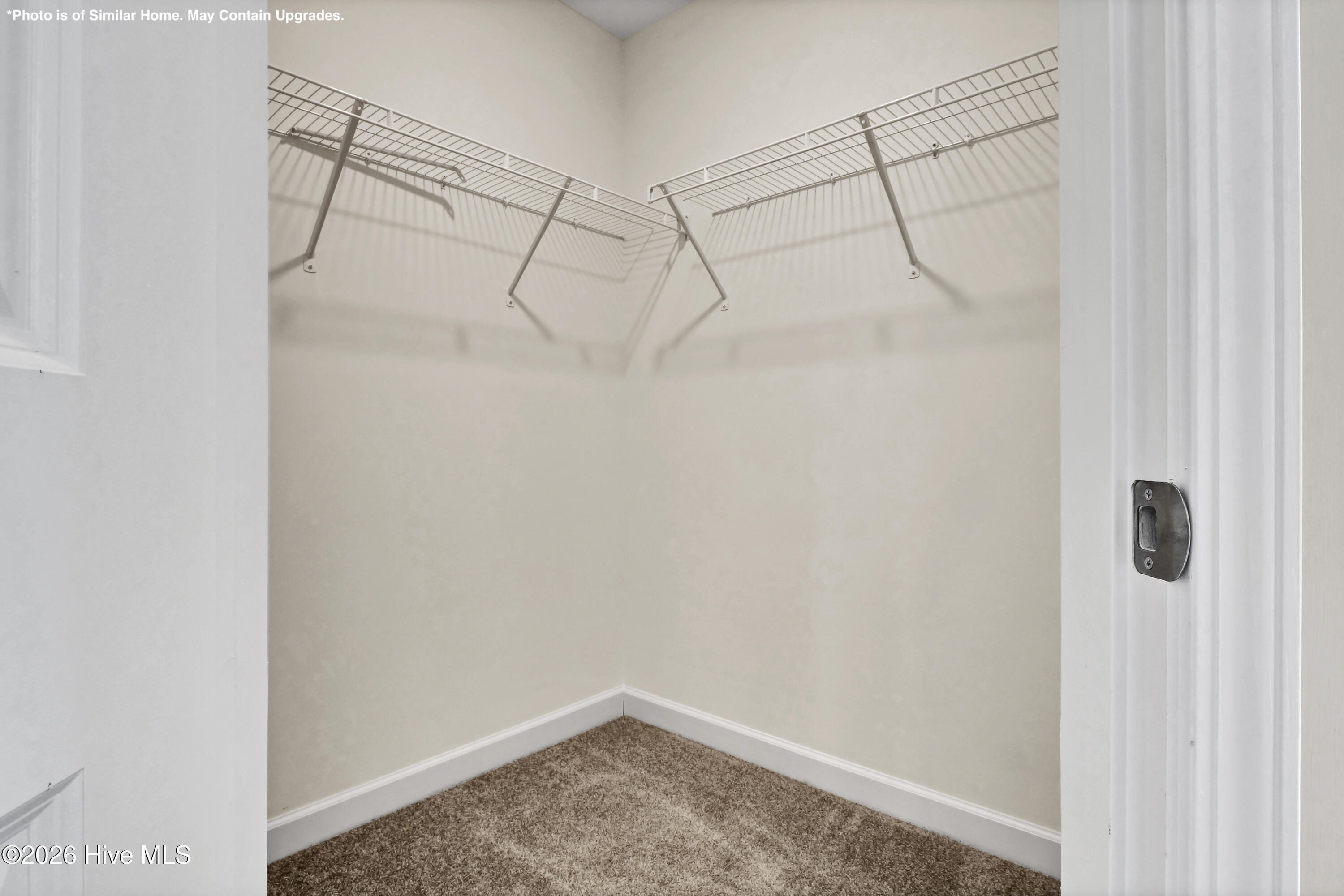 100555342 | Photo 24