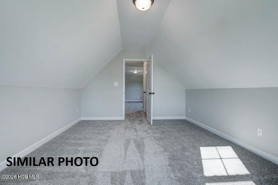 100566505 | Photo 22