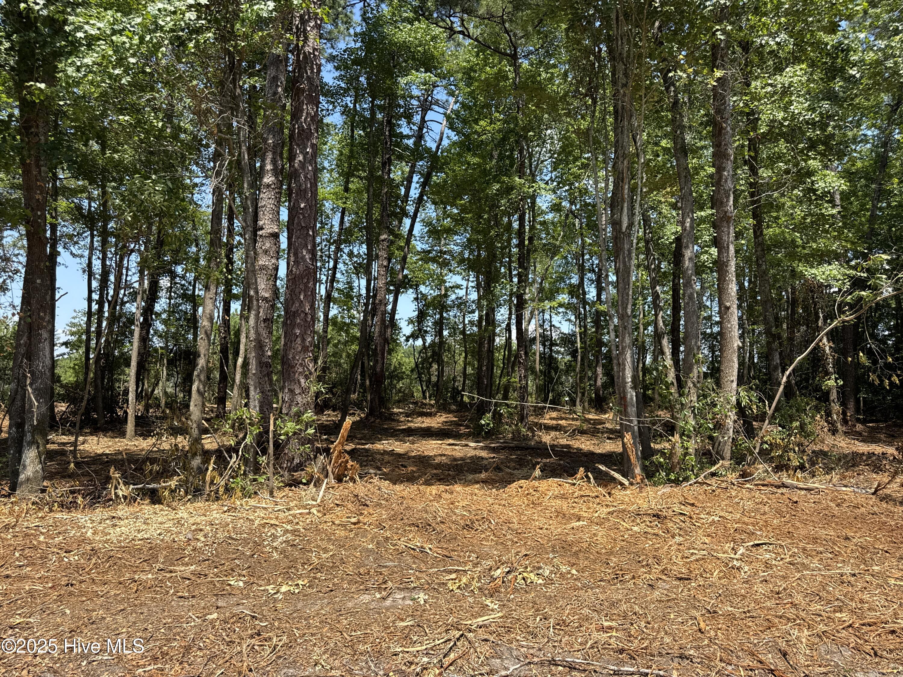 Shirley Johnson - MLS Number: 100575577
