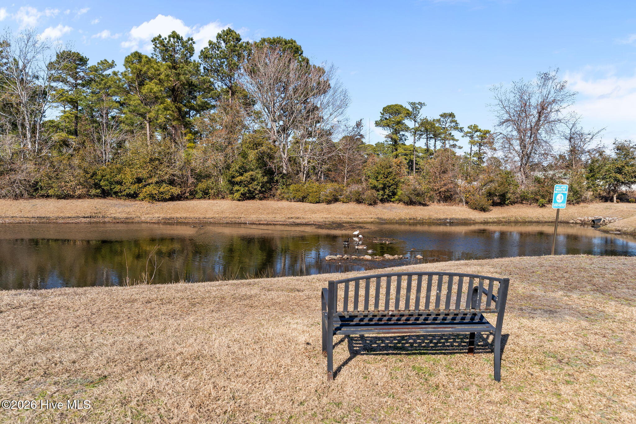 100555815 | Photo 50