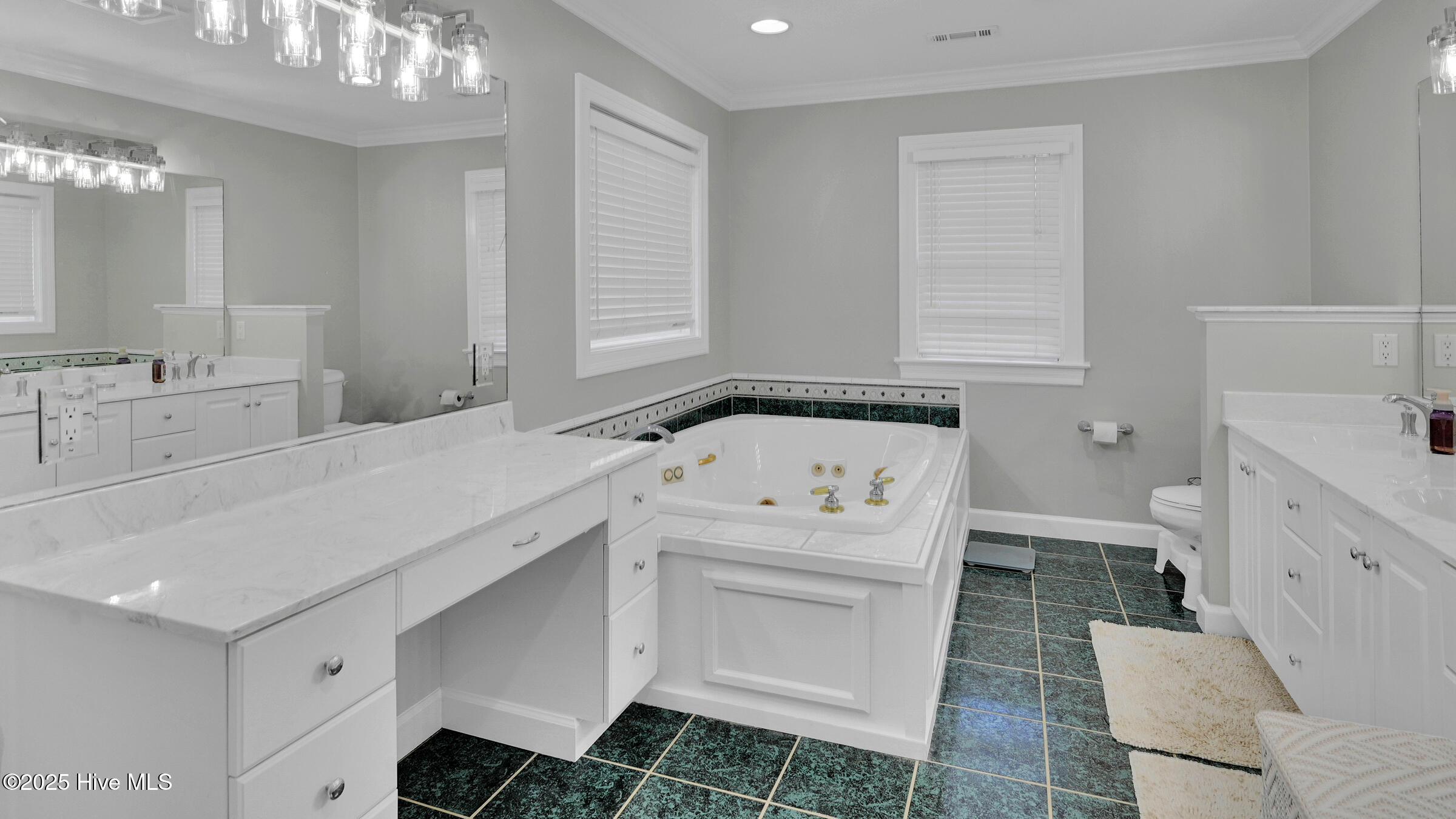 300 Silverleaf Court, Greenville, NC, 27834