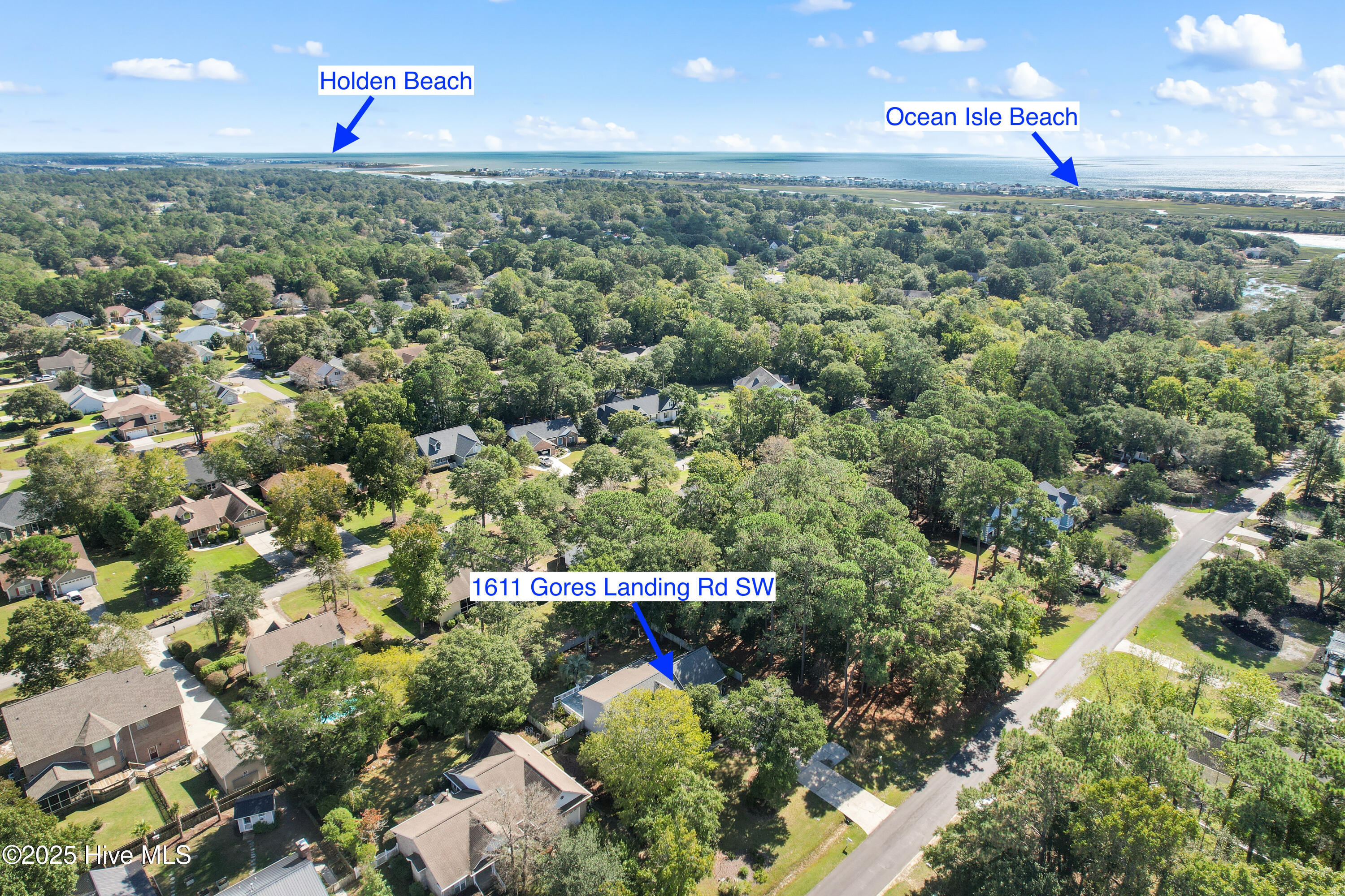 100537451 | Photo 29