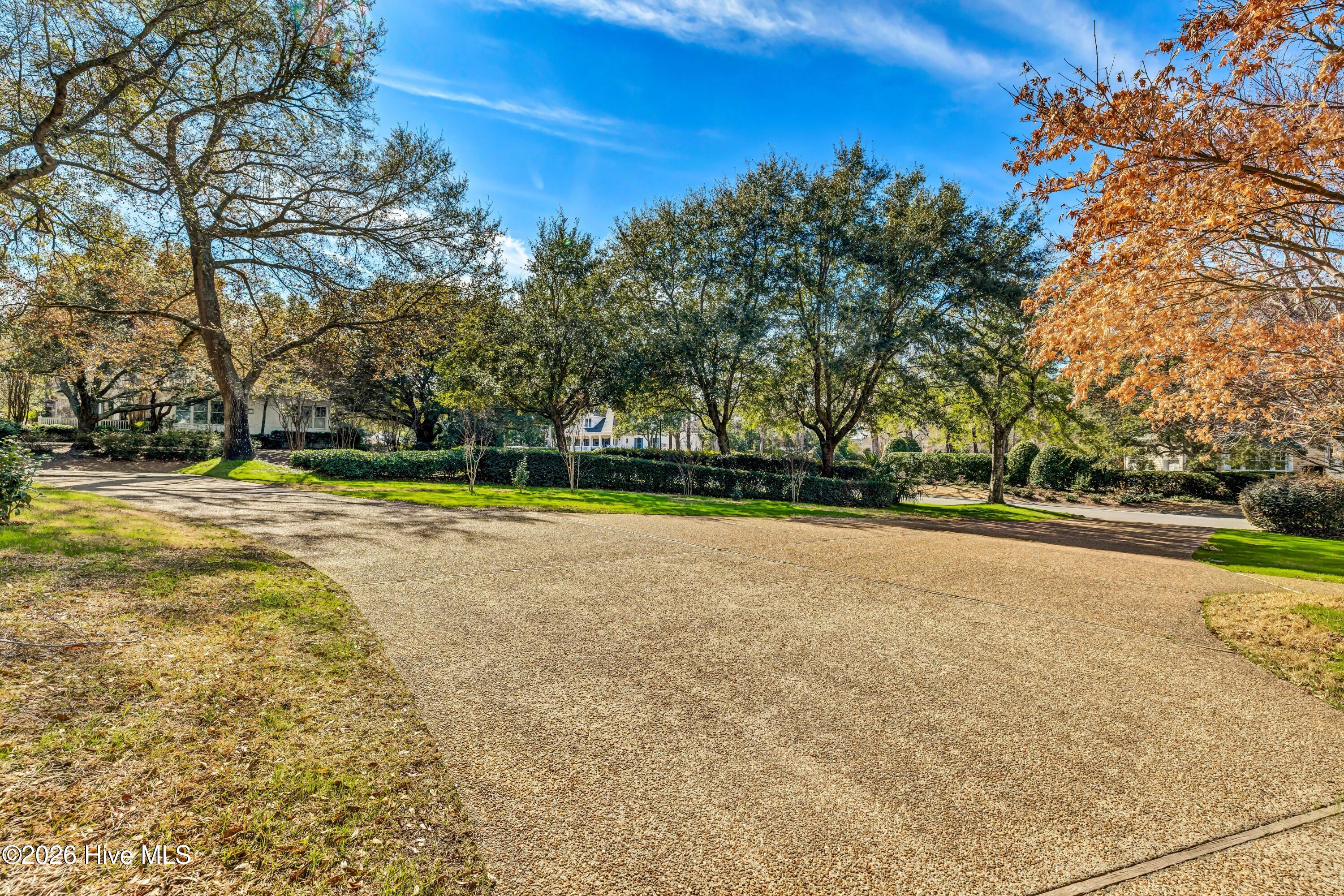 100556623 | Photo 48