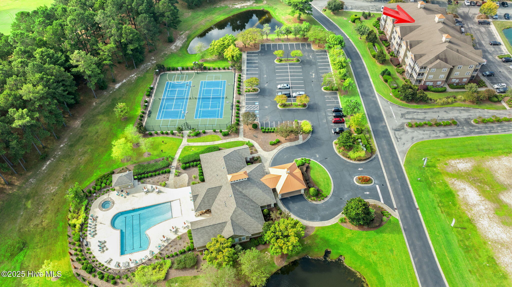 100532039 | Photo 39