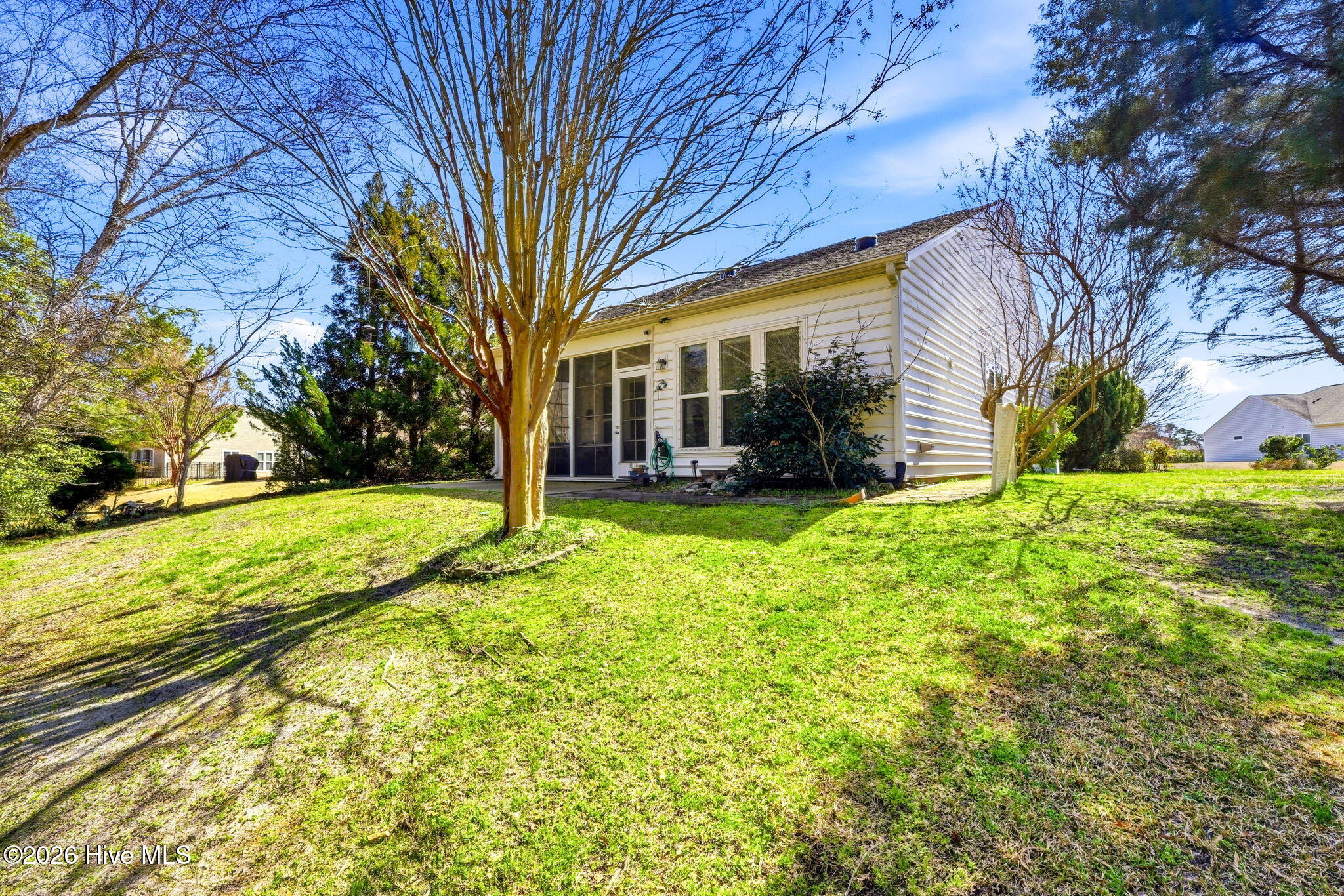 100558549 | Photo 18