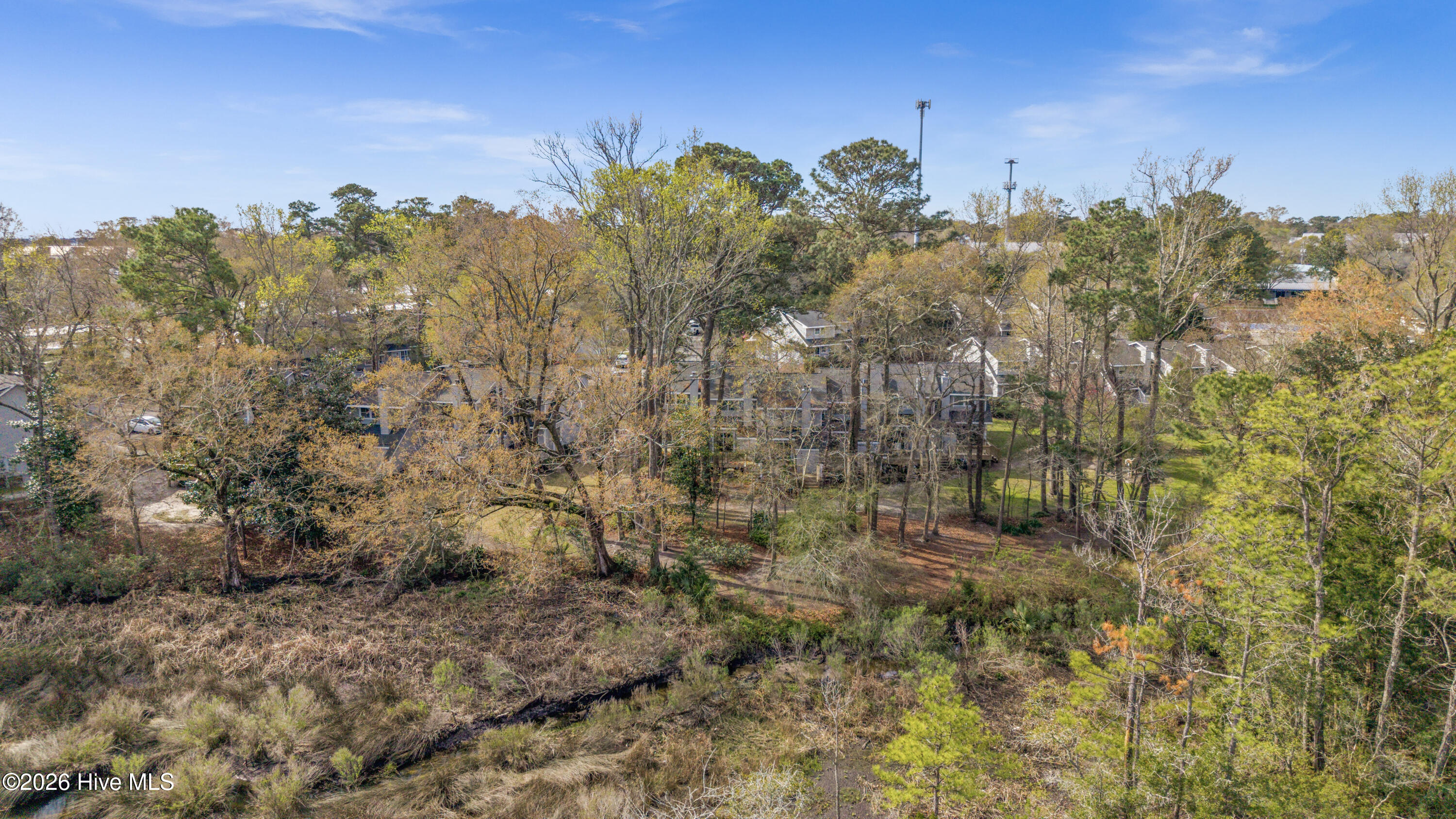 100561639 | Photo 62