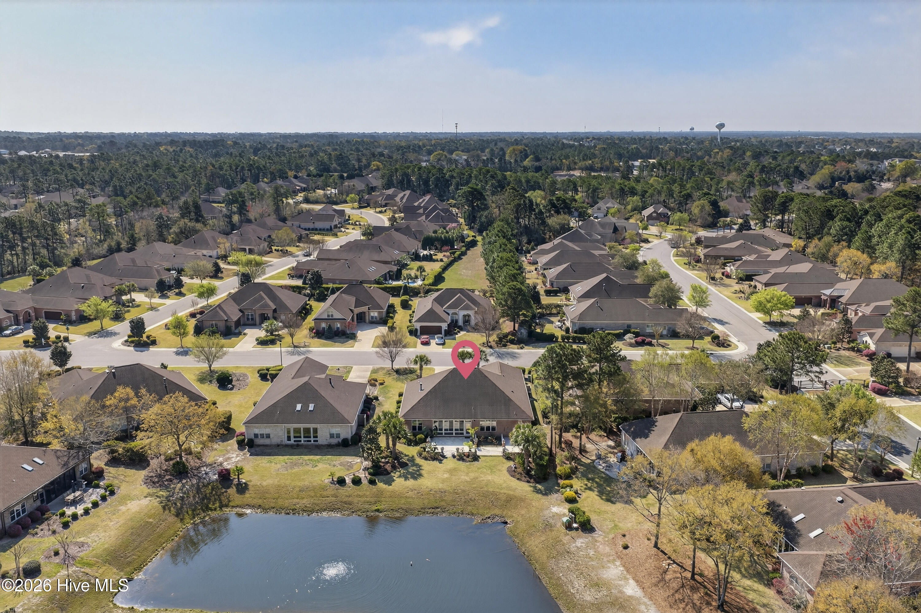 100562254 | Photo 43