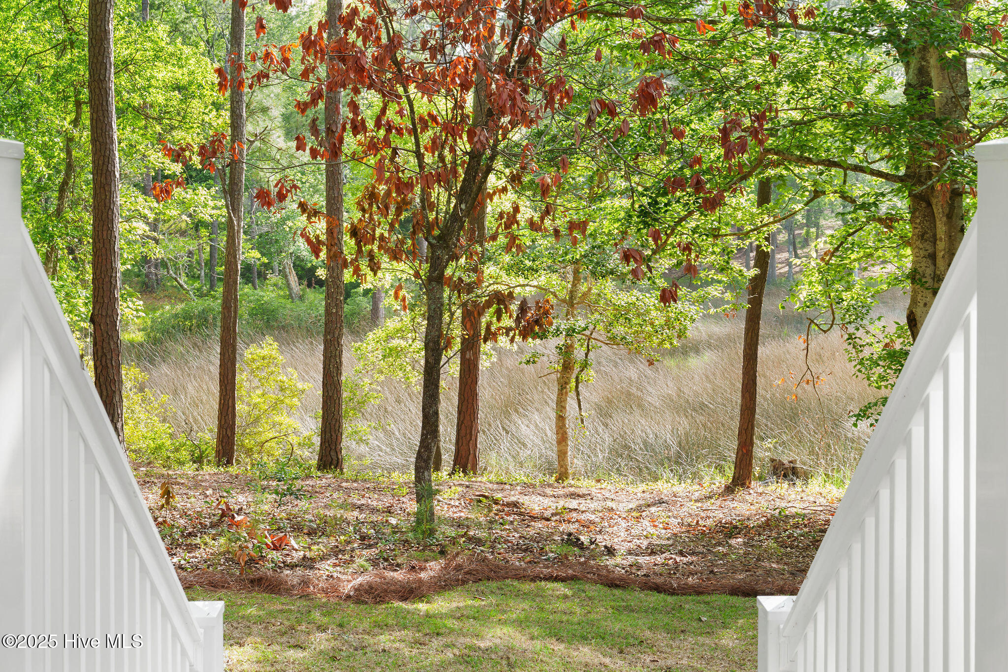 100524622 | Photo 52